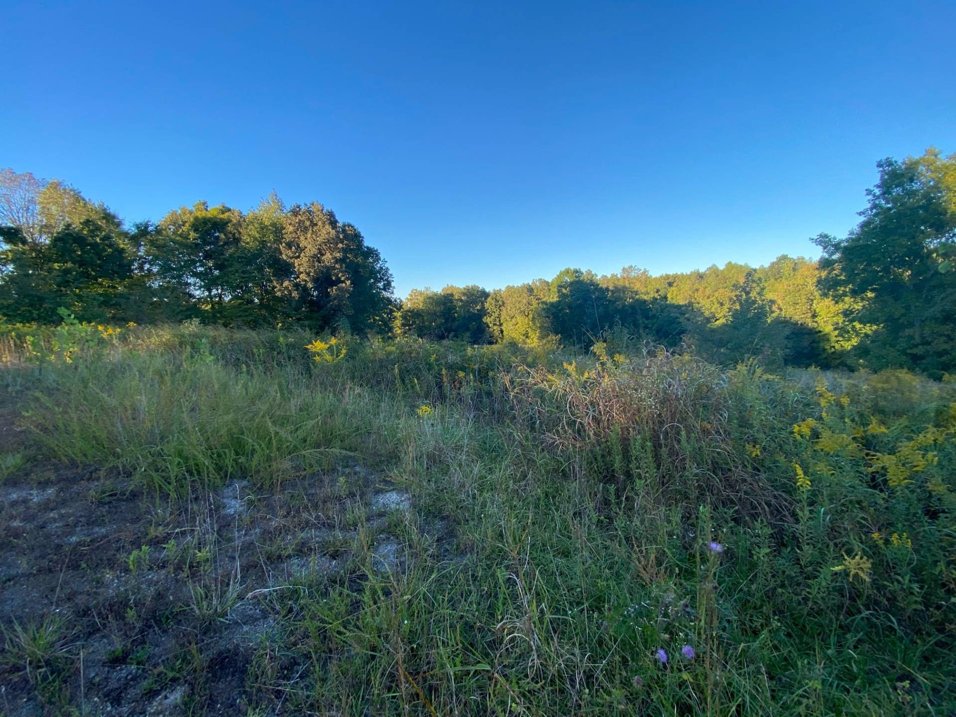 2.3 acres in Wayne County, Tennessee