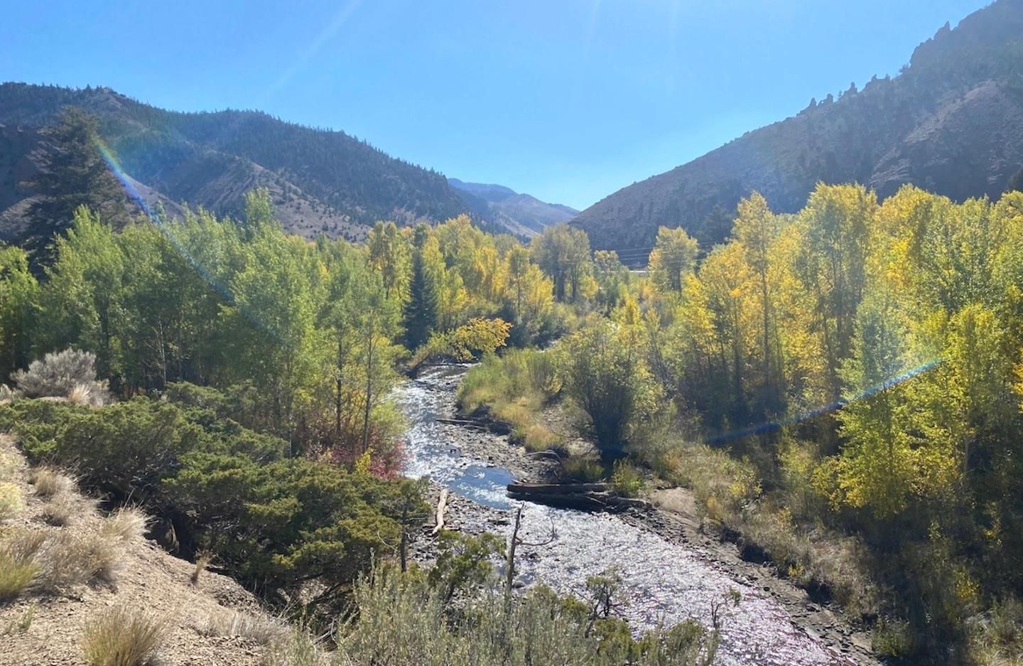 40 acres in Park County, Wyoming