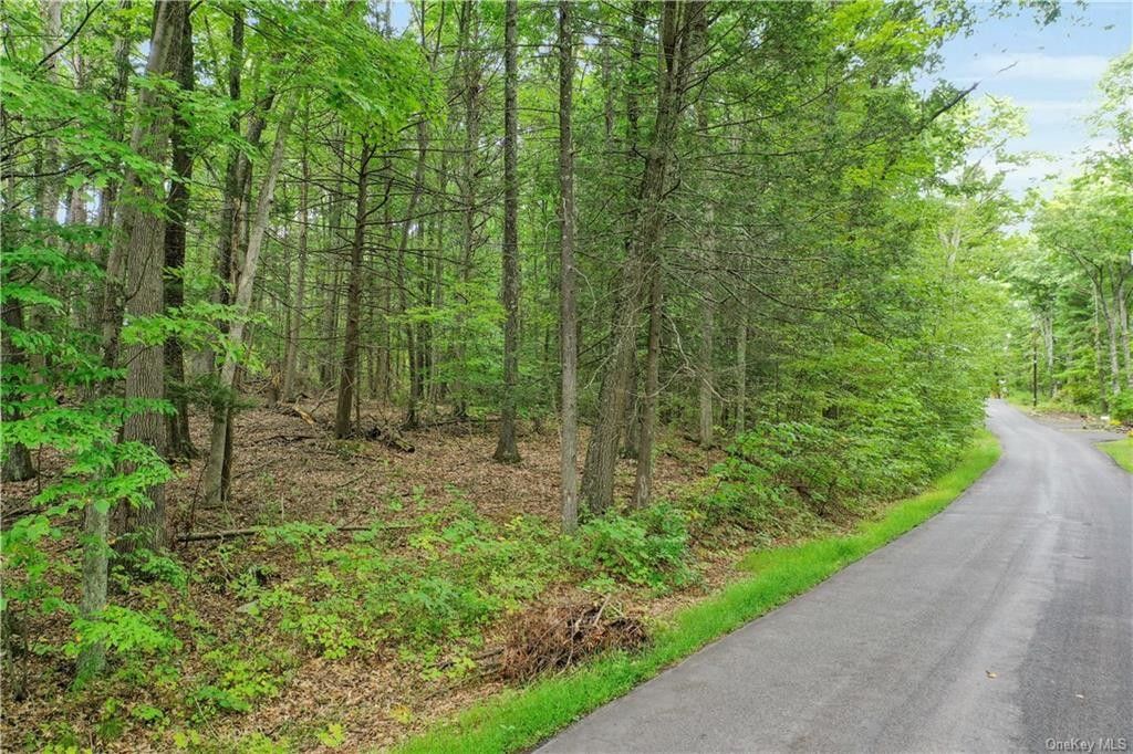 3.3 acres in Ulster County, New York
