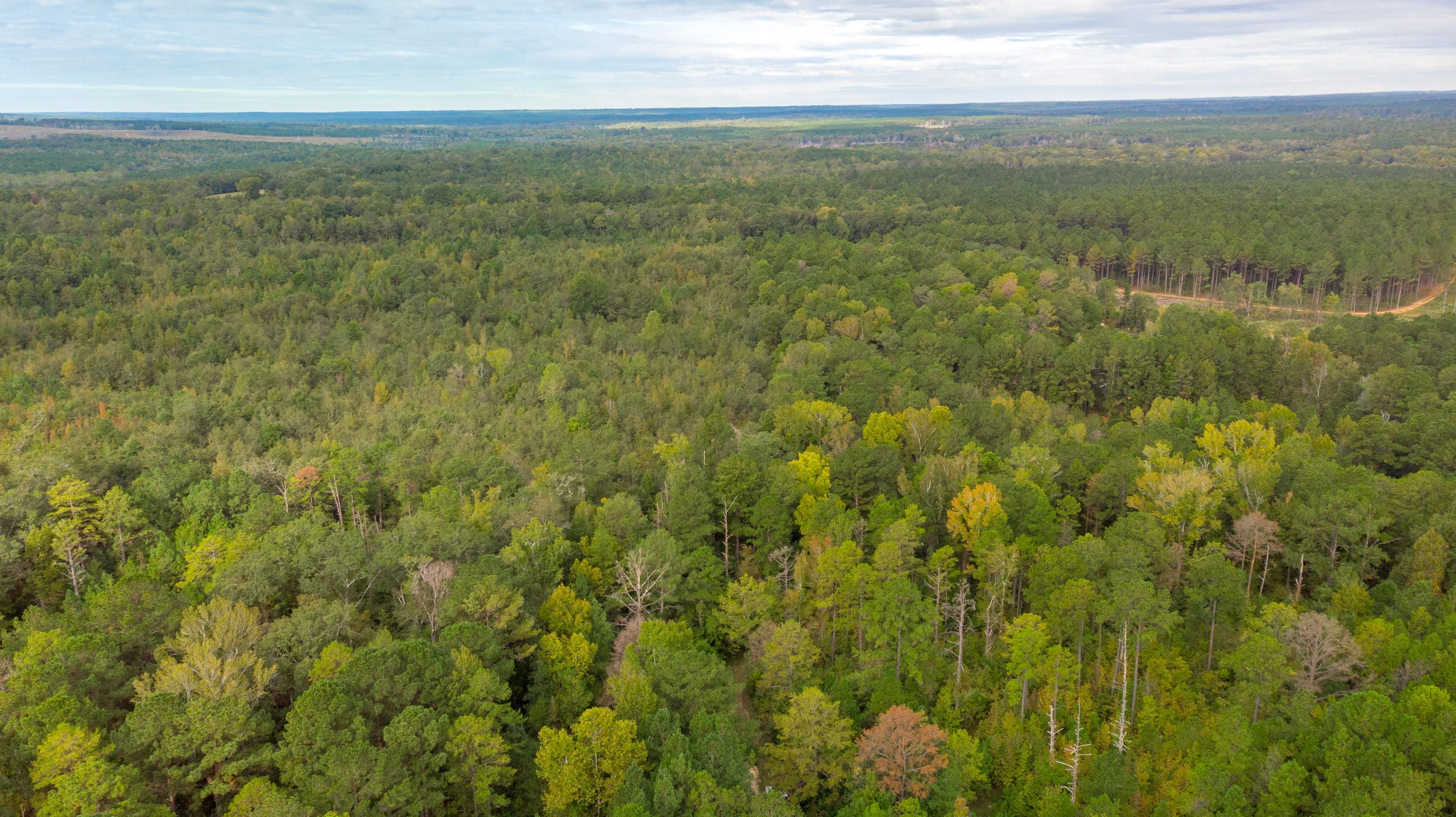 133 acres in Stewart County,