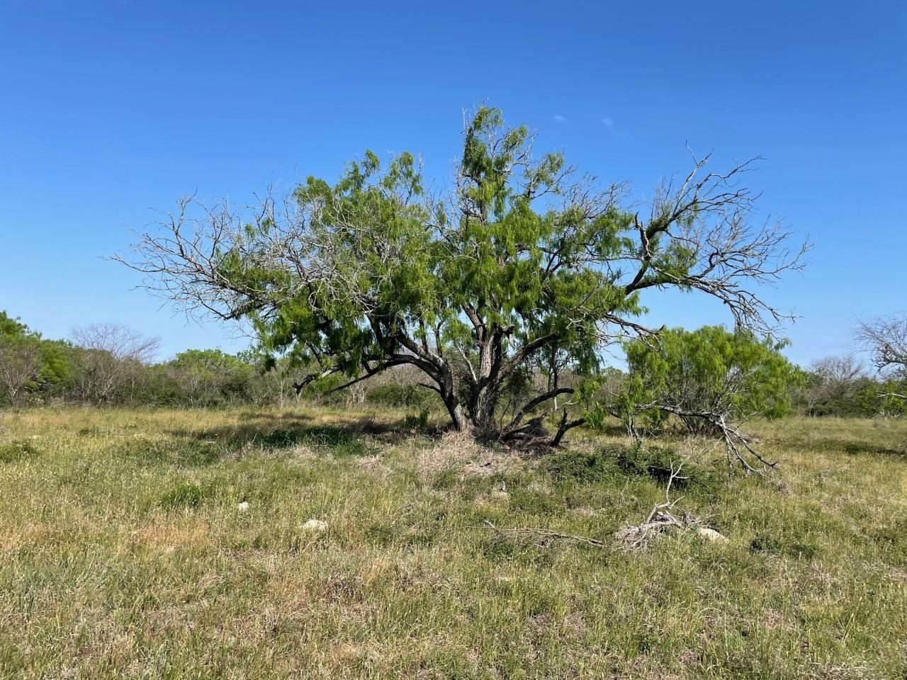 5.3 acres in Victoria County, Texas