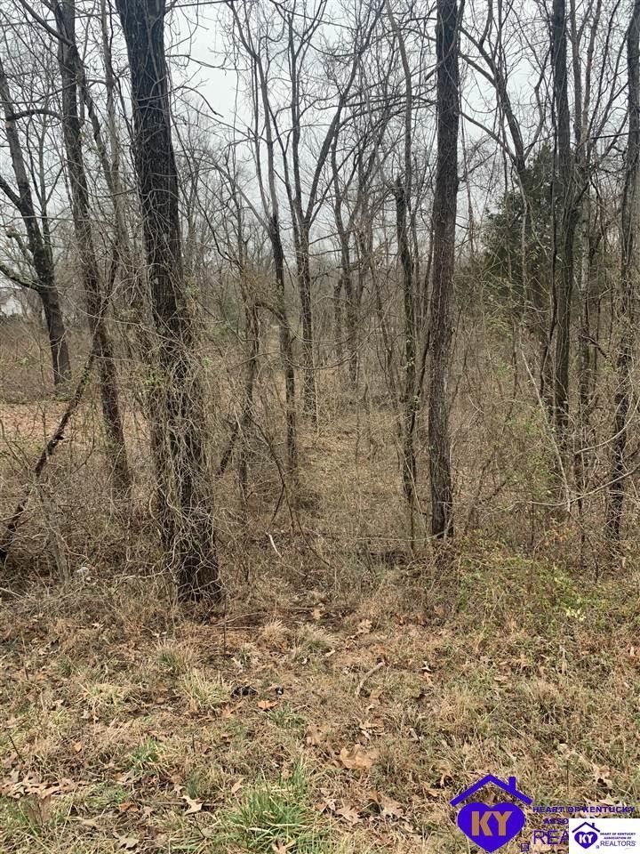 1.06 acres in Hardin County, Kentucky