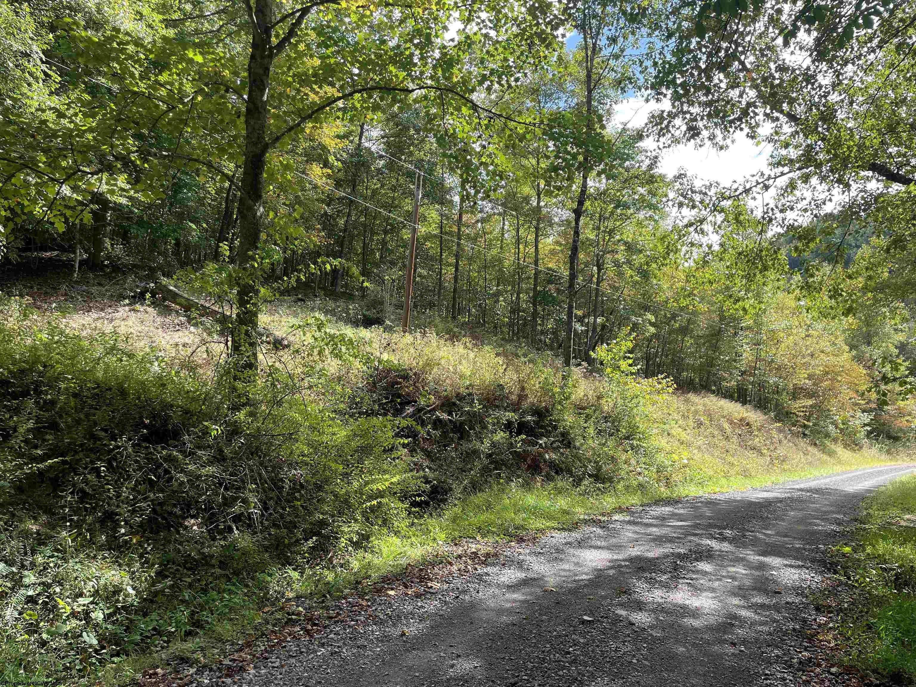 Recent Death In Braxton County Wv 37 - 4zfhi9w