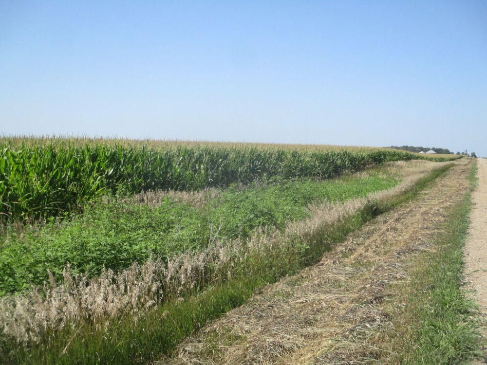 160 acres in Wright County, Iowa