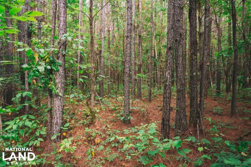 0 Redland Sarepta Rd, Algoma, MS 38820