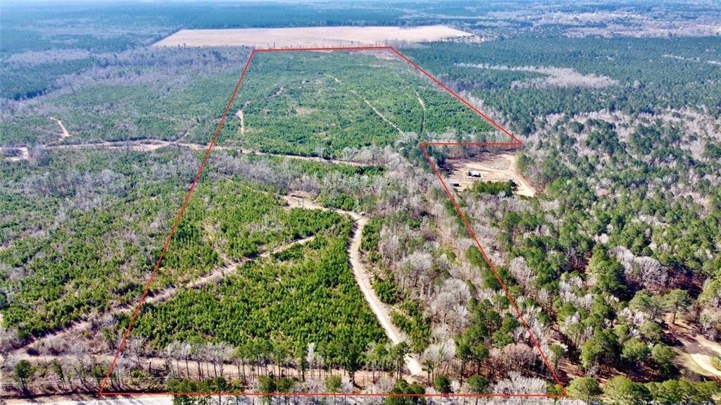 162 acres in Bossier Parish, Louisiana
