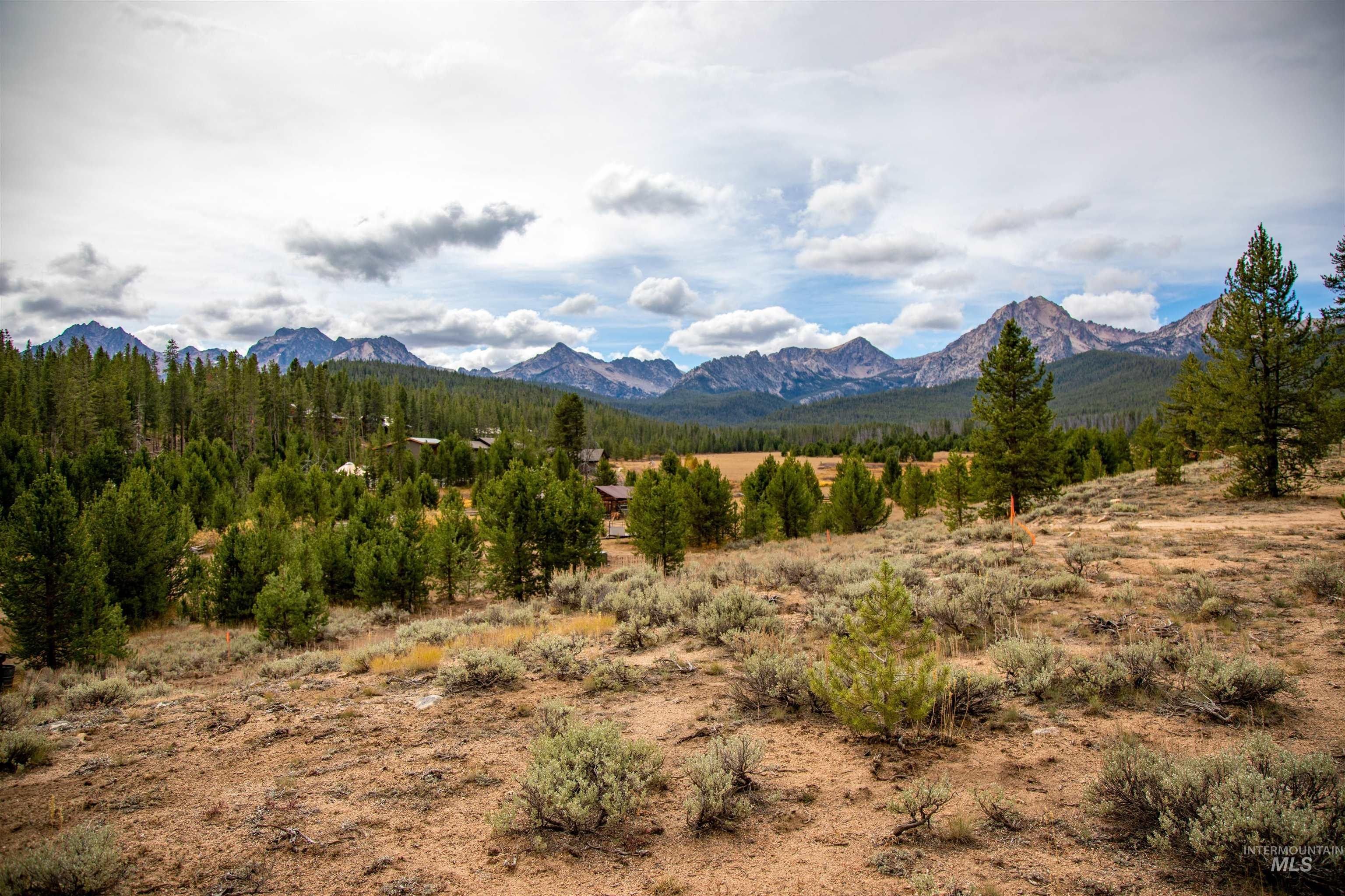 1.06 acres in Custer County, Idaho