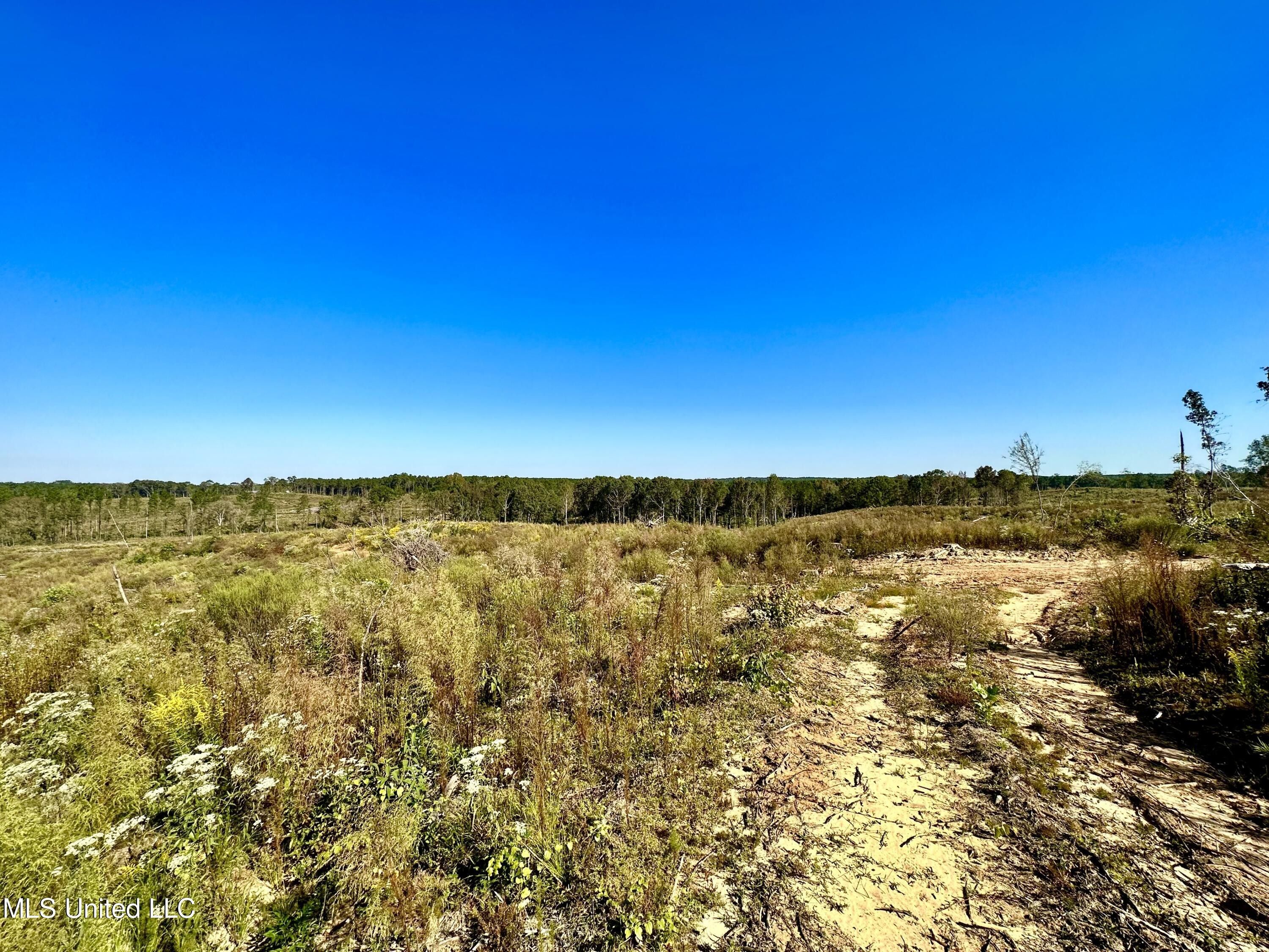 192 acres in Newton County, Mississippi