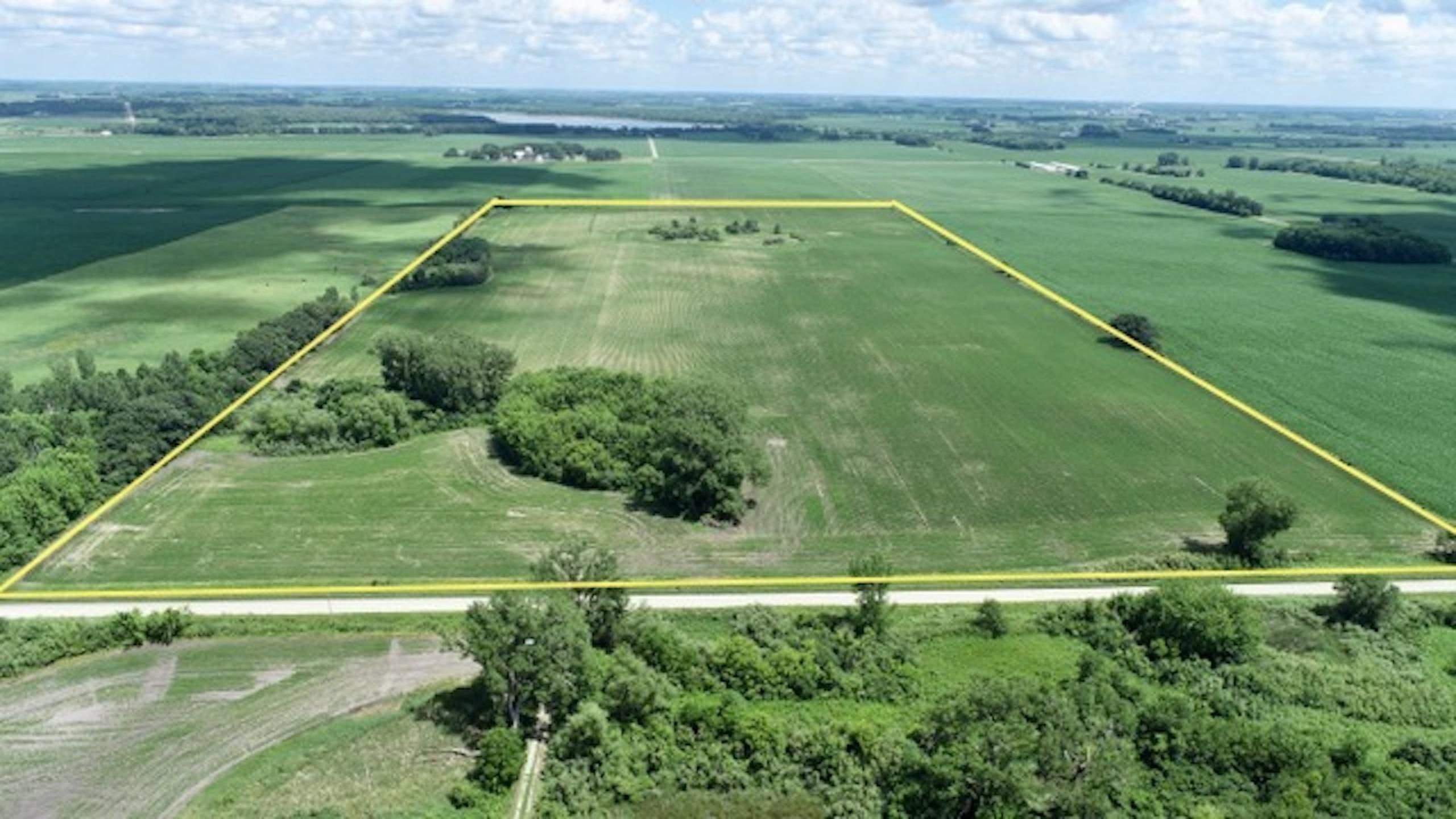 80 acres in Steele County, Minnesota