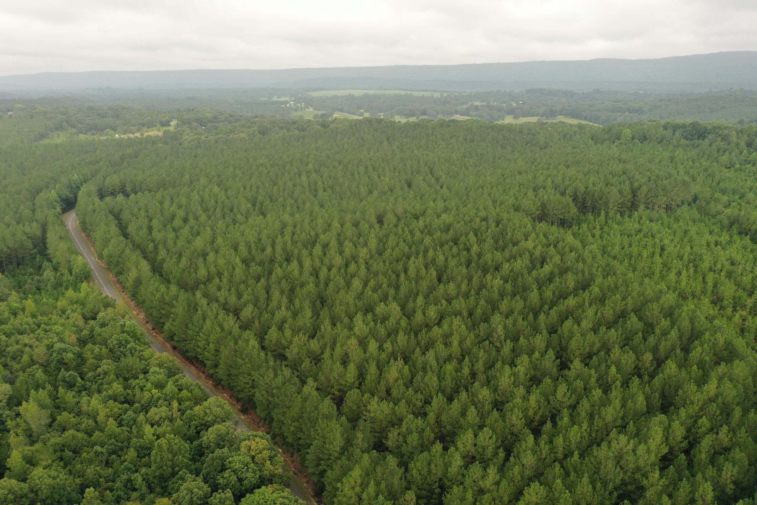 35 acres in Cherokee County, Alabama