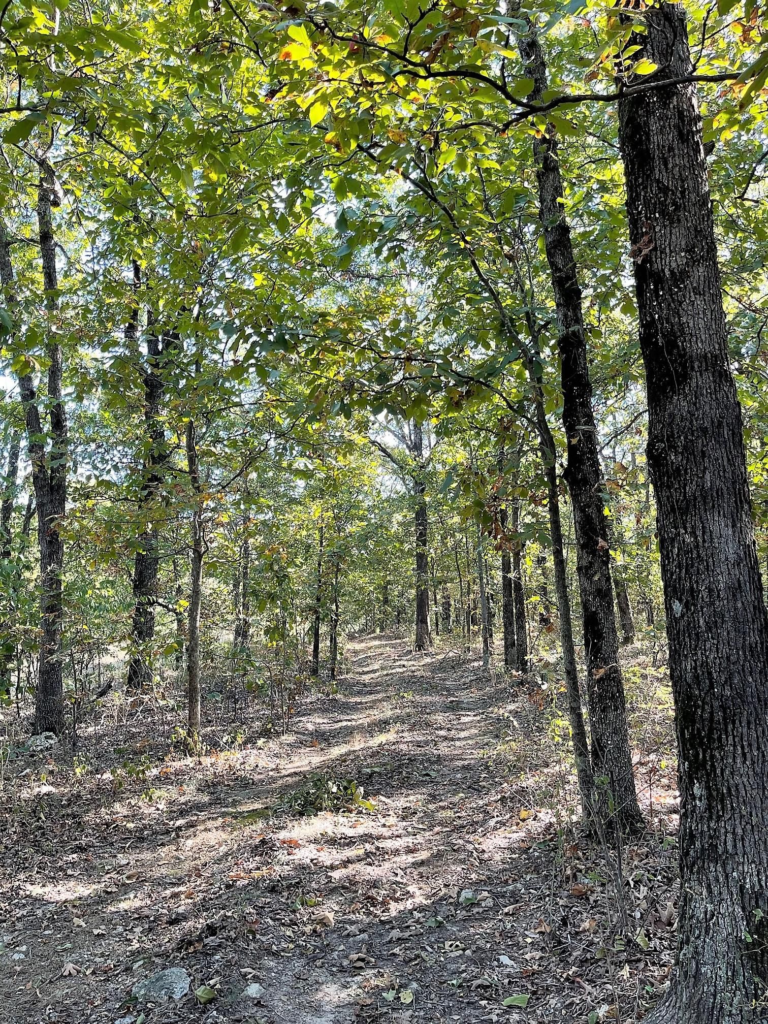 15 acres in Delaware County, Oklahoma