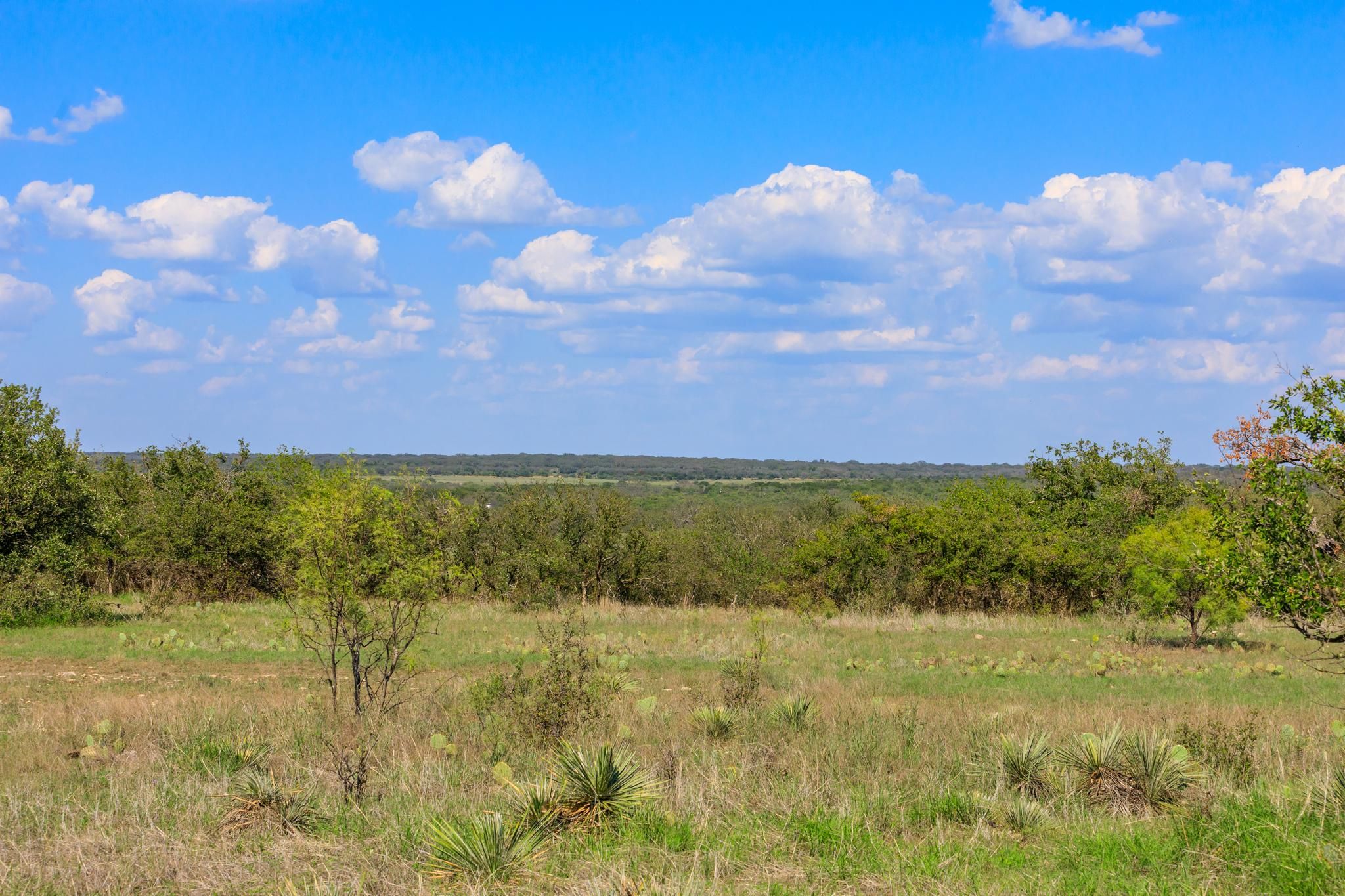 45 acres in Mason County, Texas