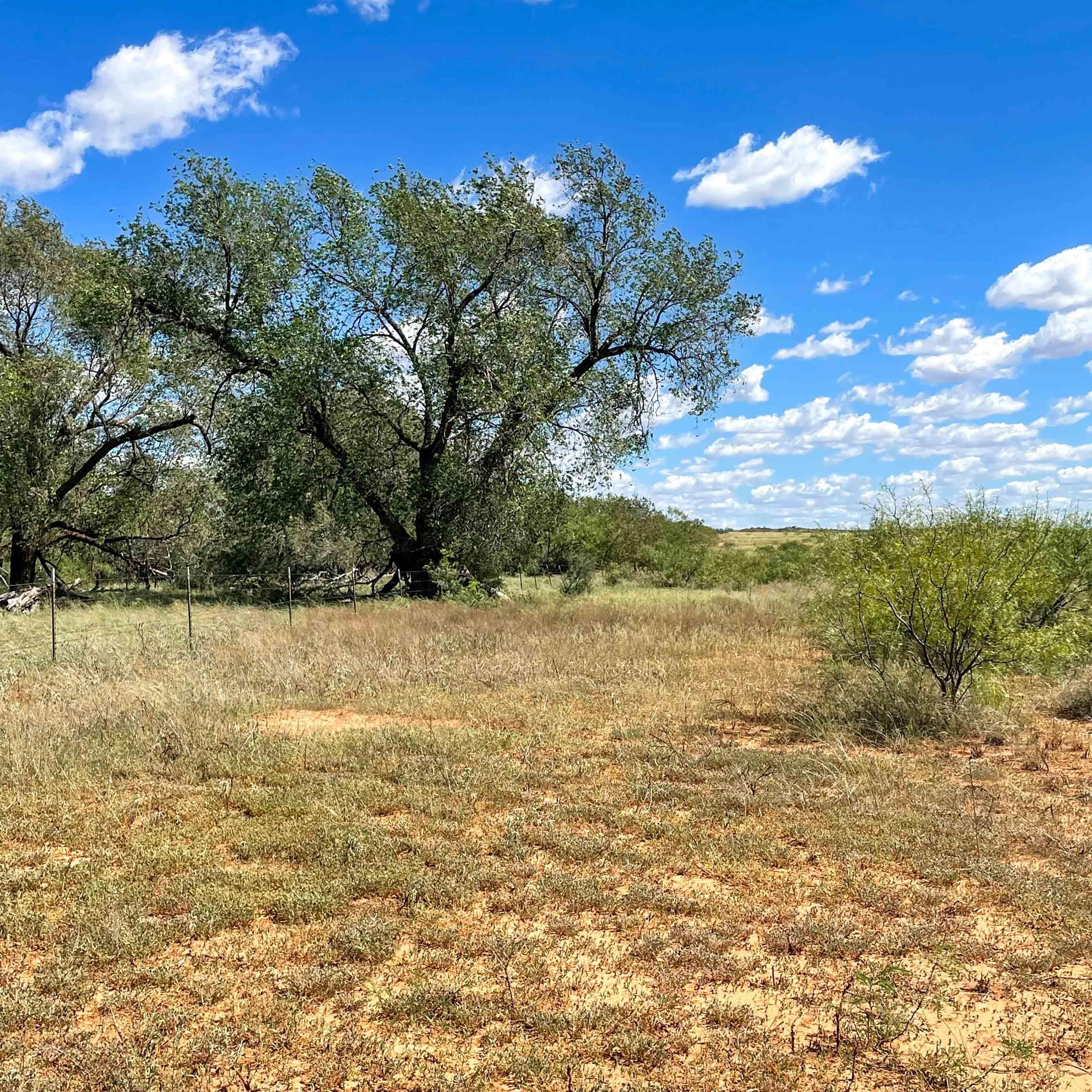 83 acres in Dickens County, Texas