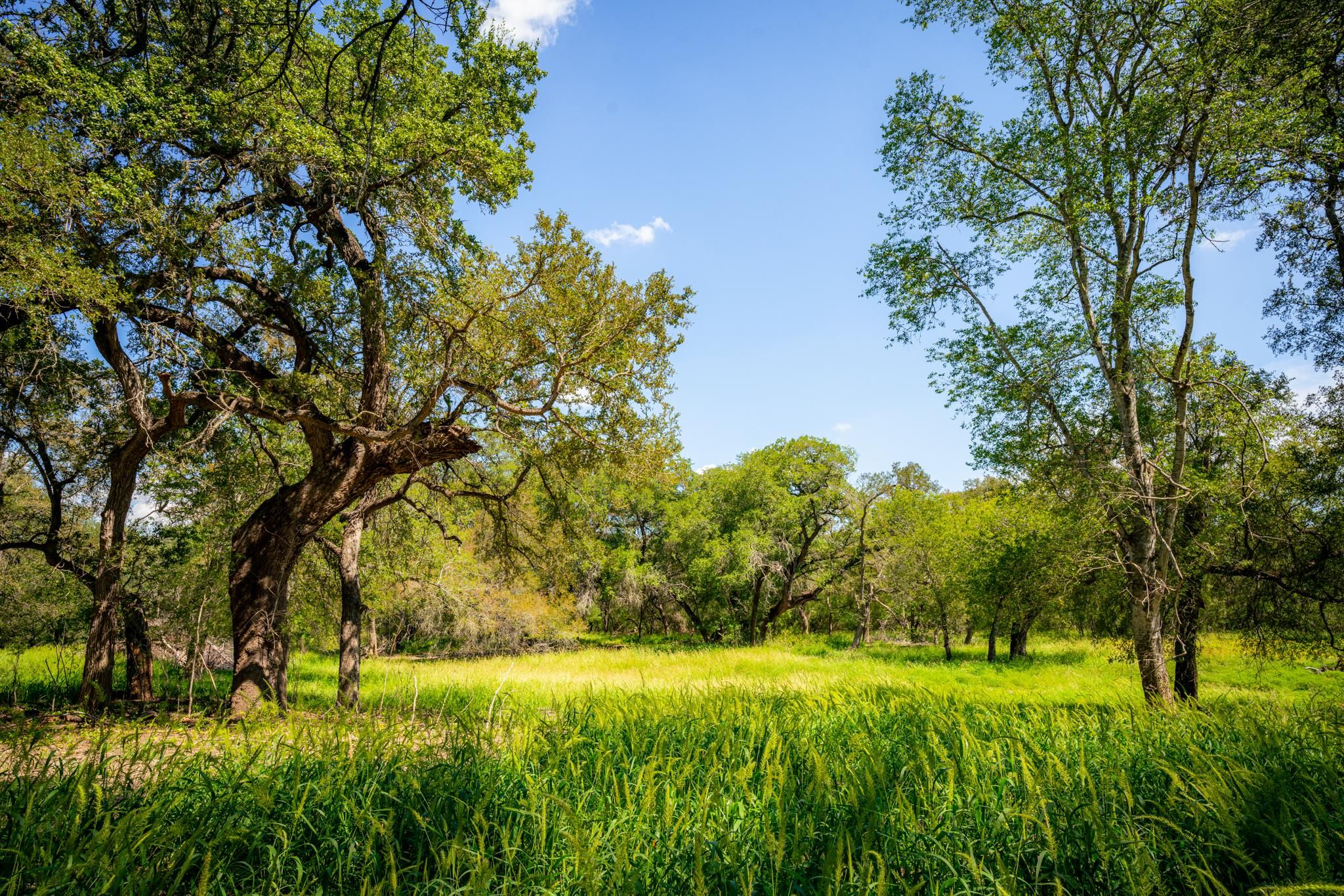 915 acres in Pearsall, TX, 78061