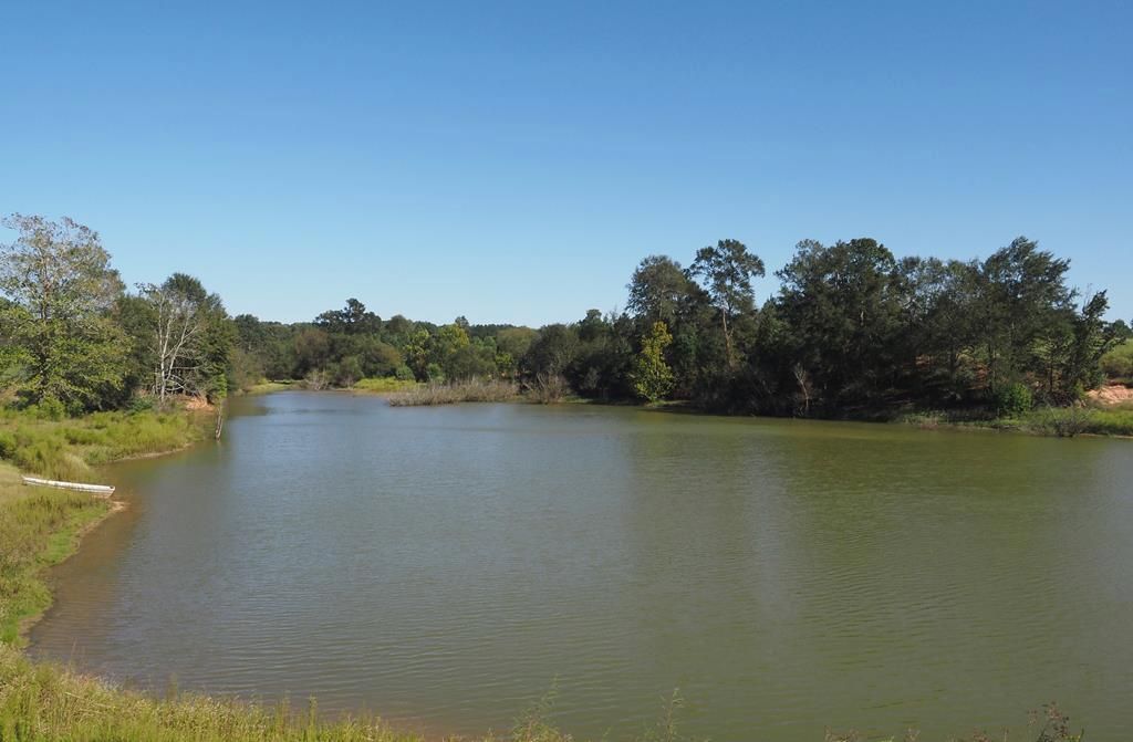 35 acres in Pike County, Mississippi