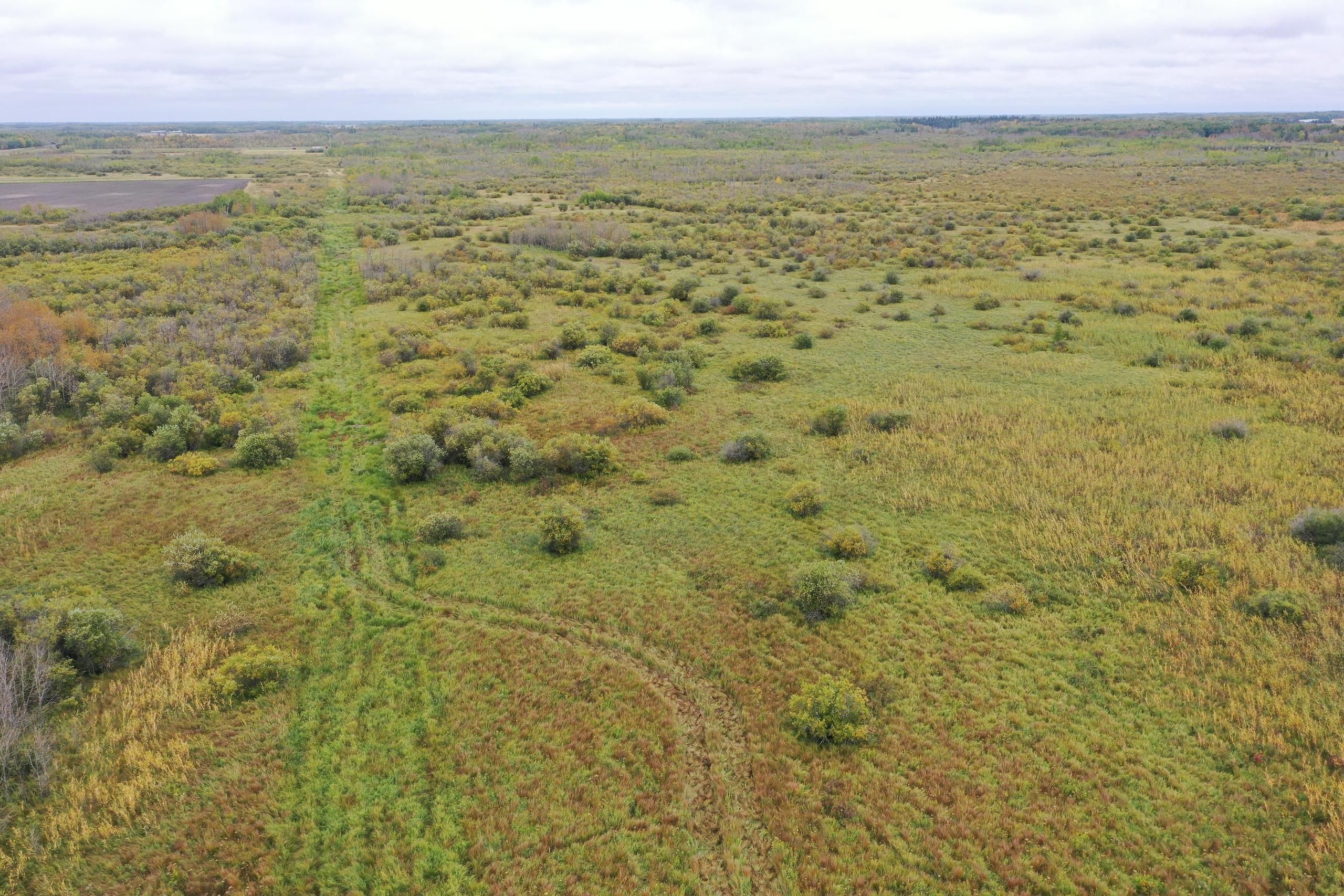 160 acres in Roseau County, Minnesota