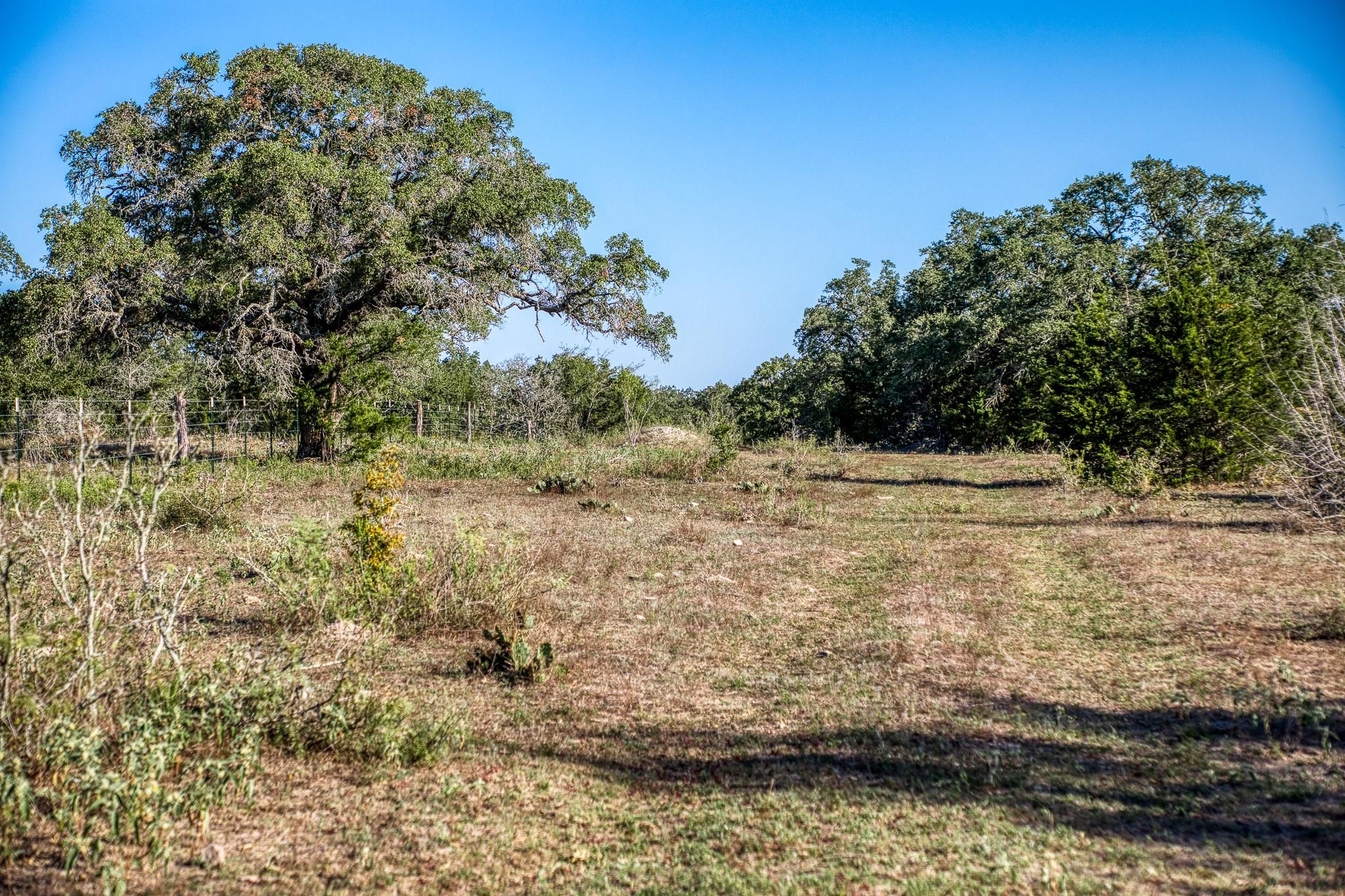71 acres in Fayette County, Texas