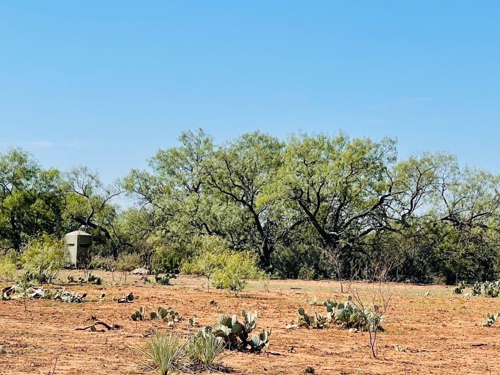 15 acres in Coleman County, Texas