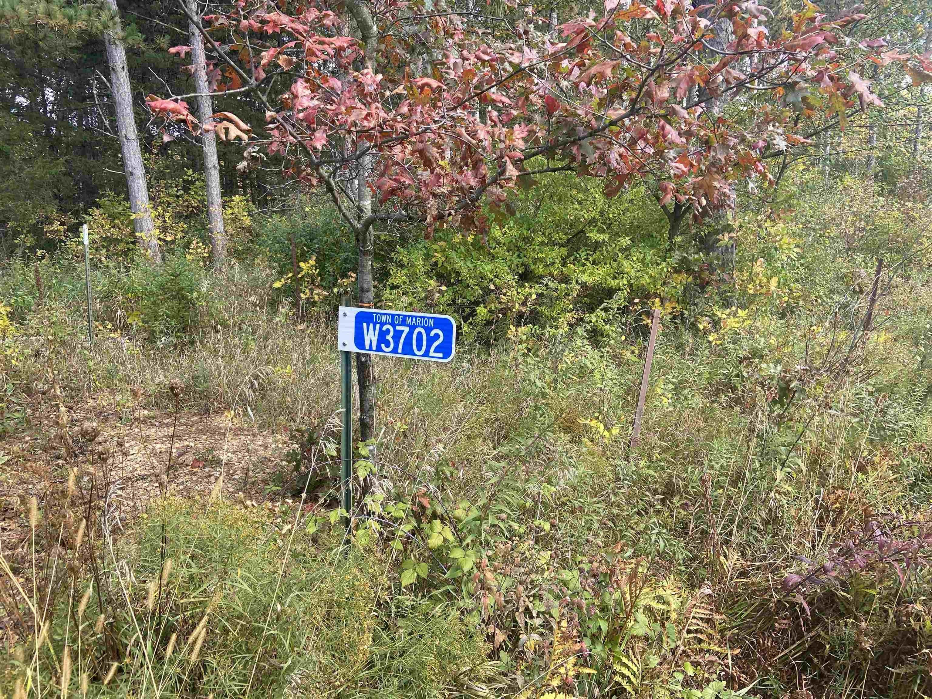 40 acres in Juneau County, Wisconsin