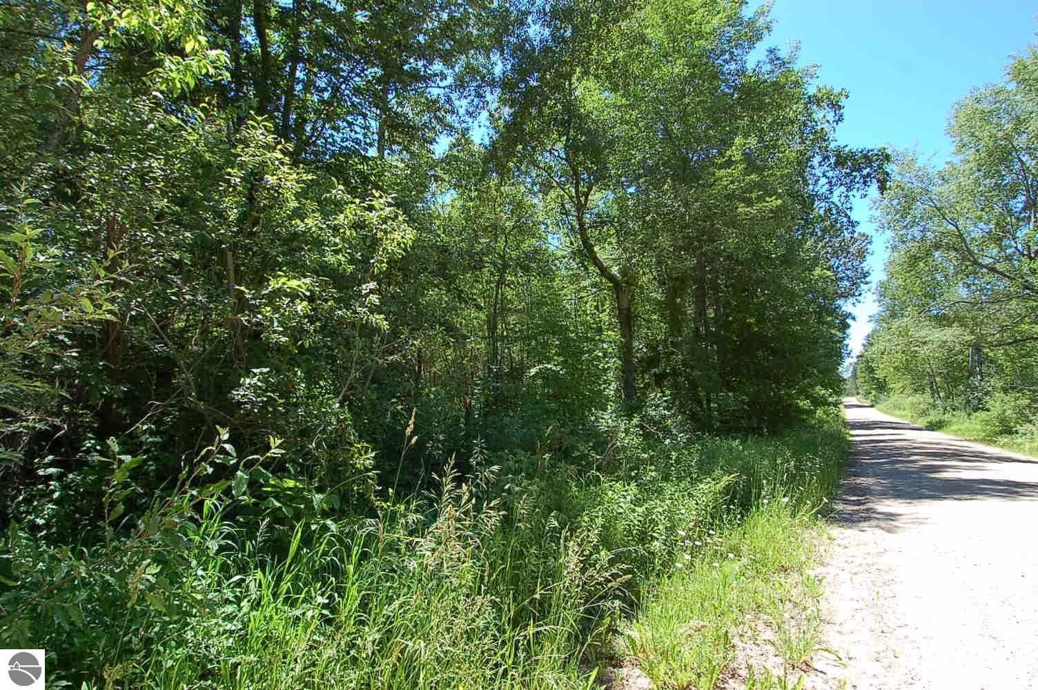 30 acres in Osceola County, Michigan