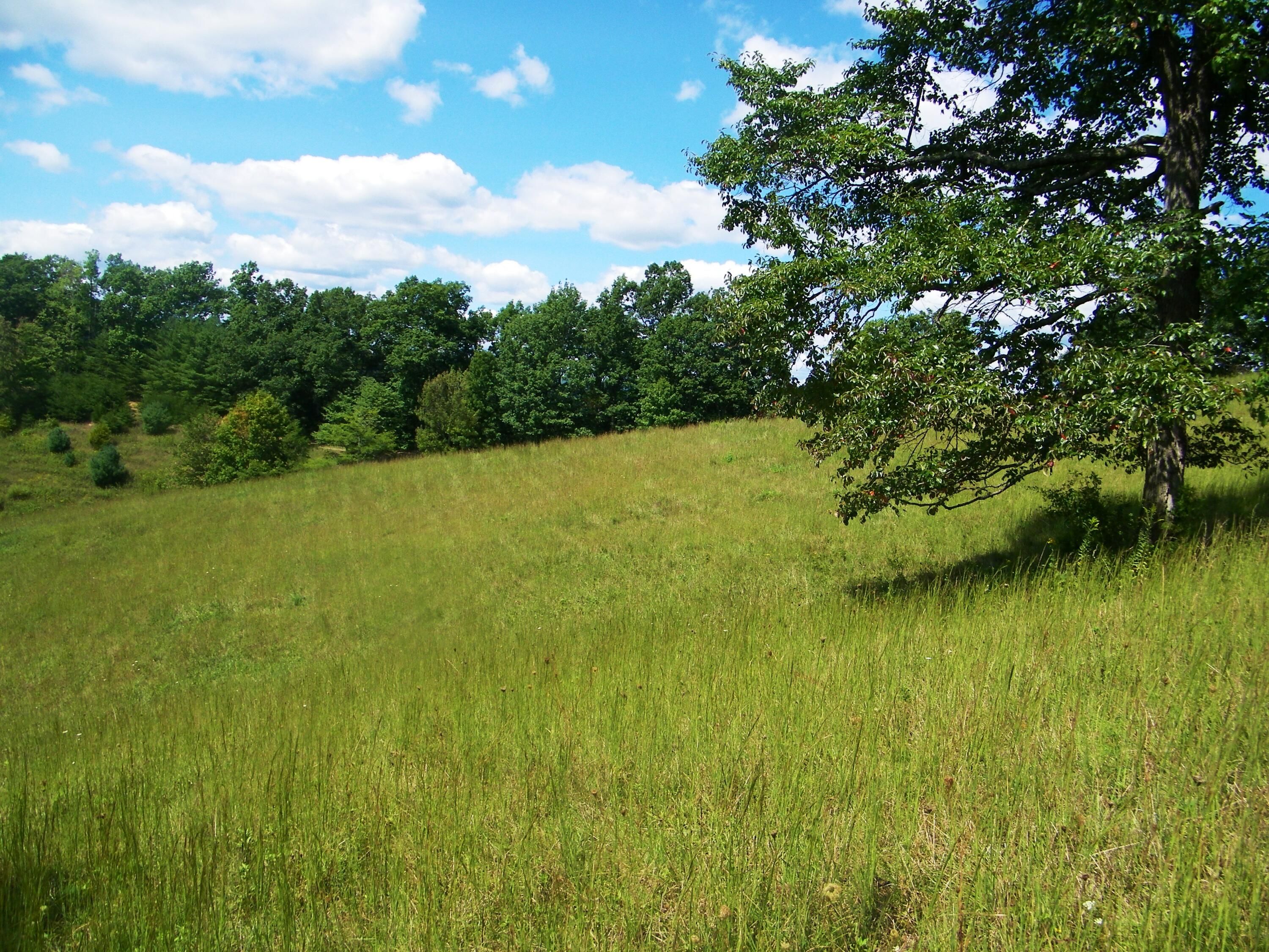 121 acres in Scott County, Virginia