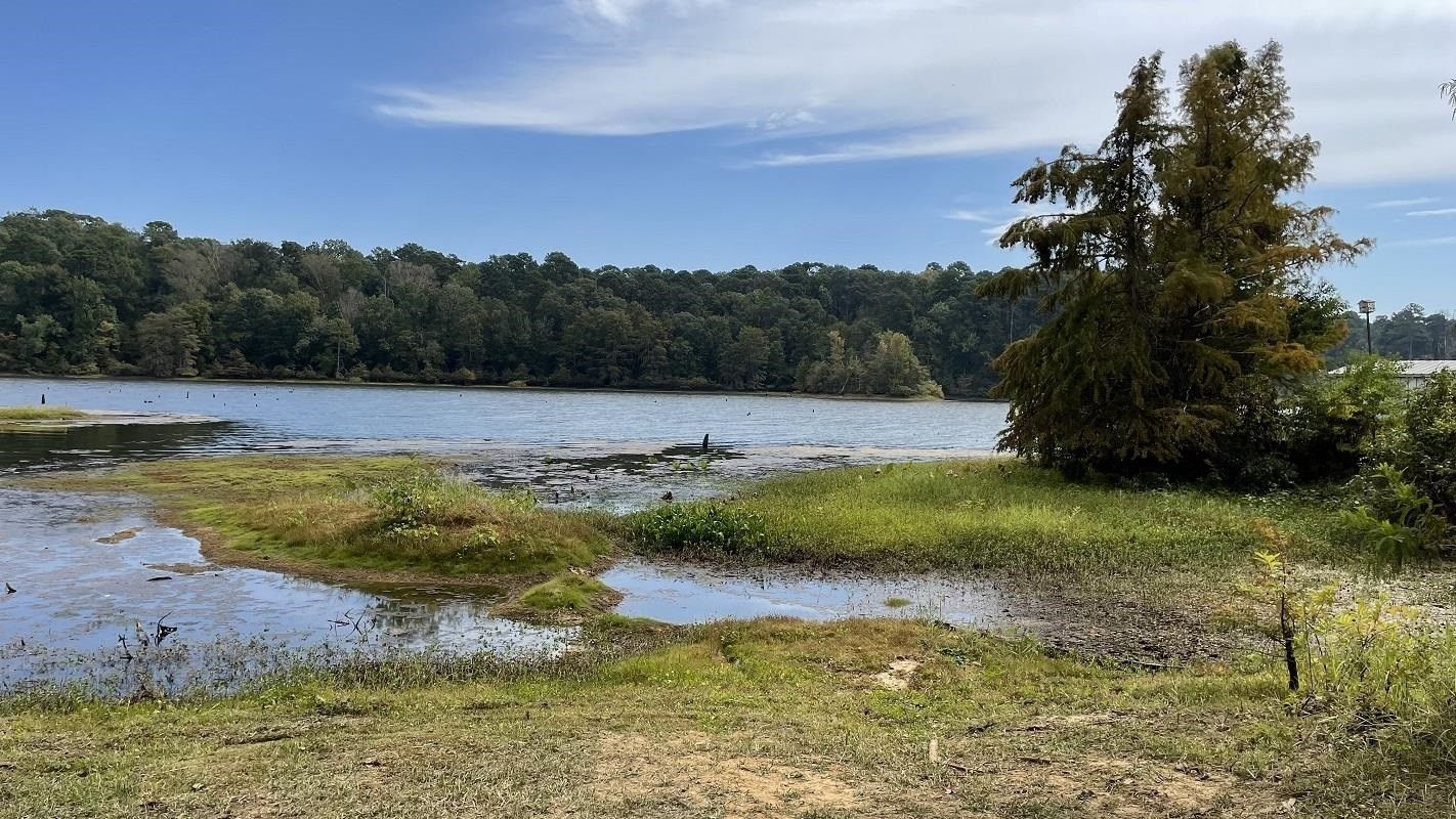 5.8 acres in Sabine County, Texas