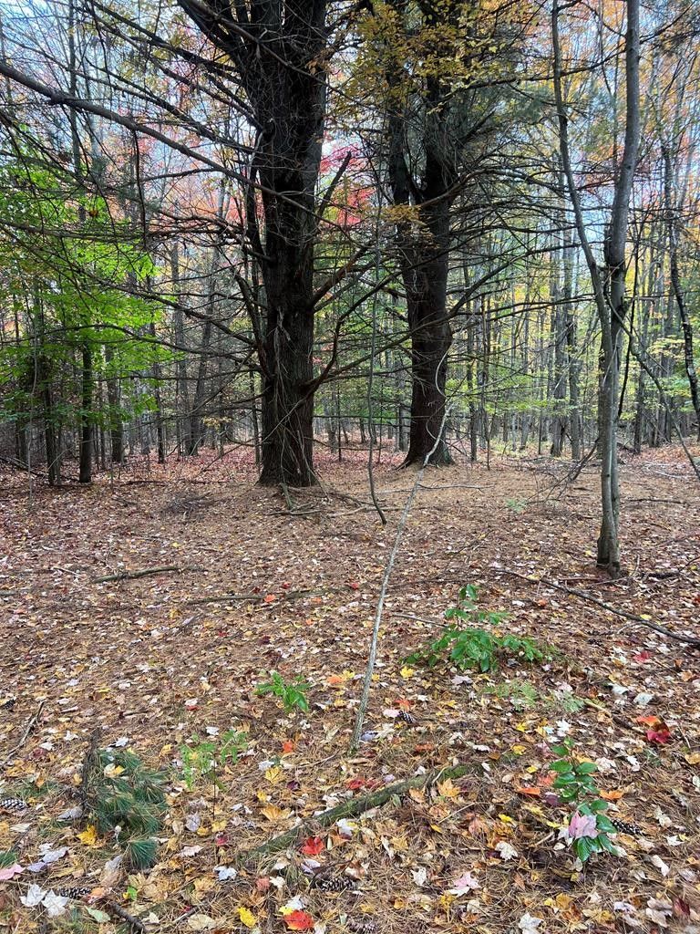 10 acres in Franklin County, New York