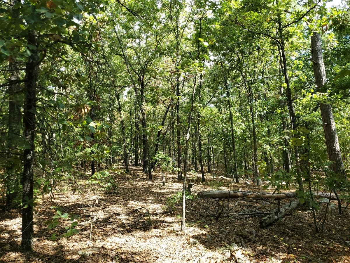 29.26 acres in Rattan, OK, 74562
