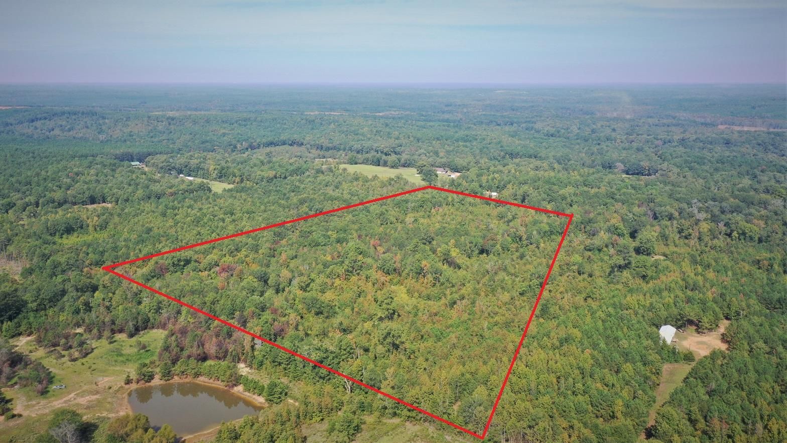 20 acres in Marion County, Texas