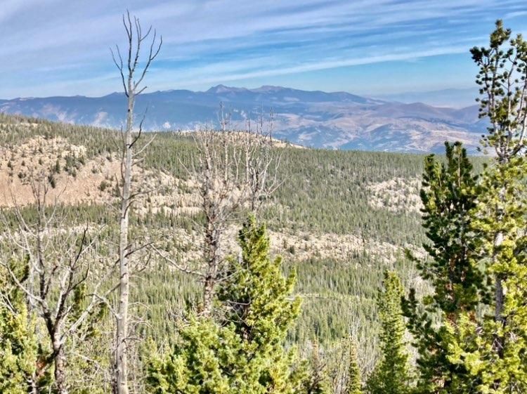 20.3 acres in Deer Lodge County, Montana