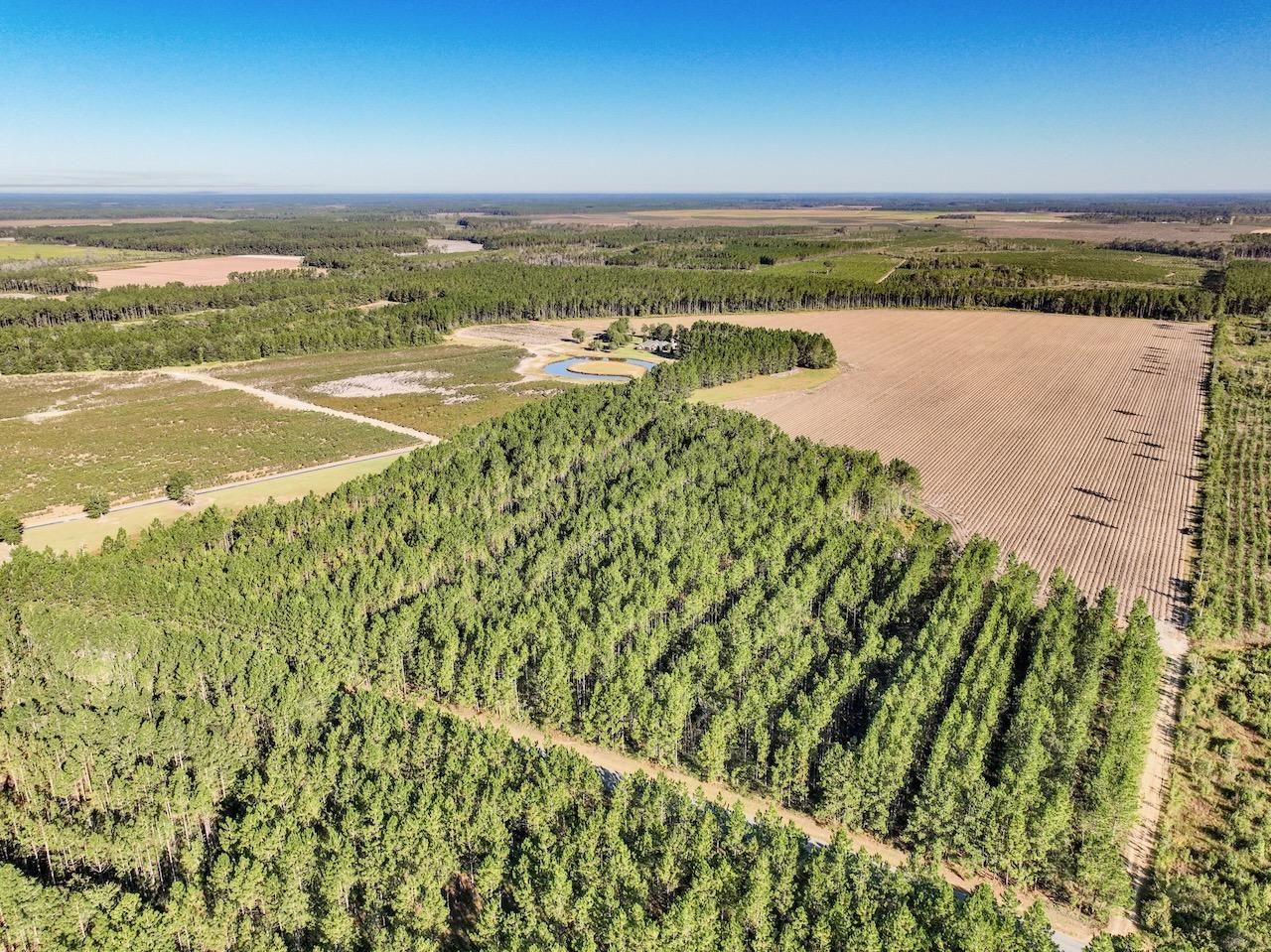 85 acres in Jeff Davis County, Georgia