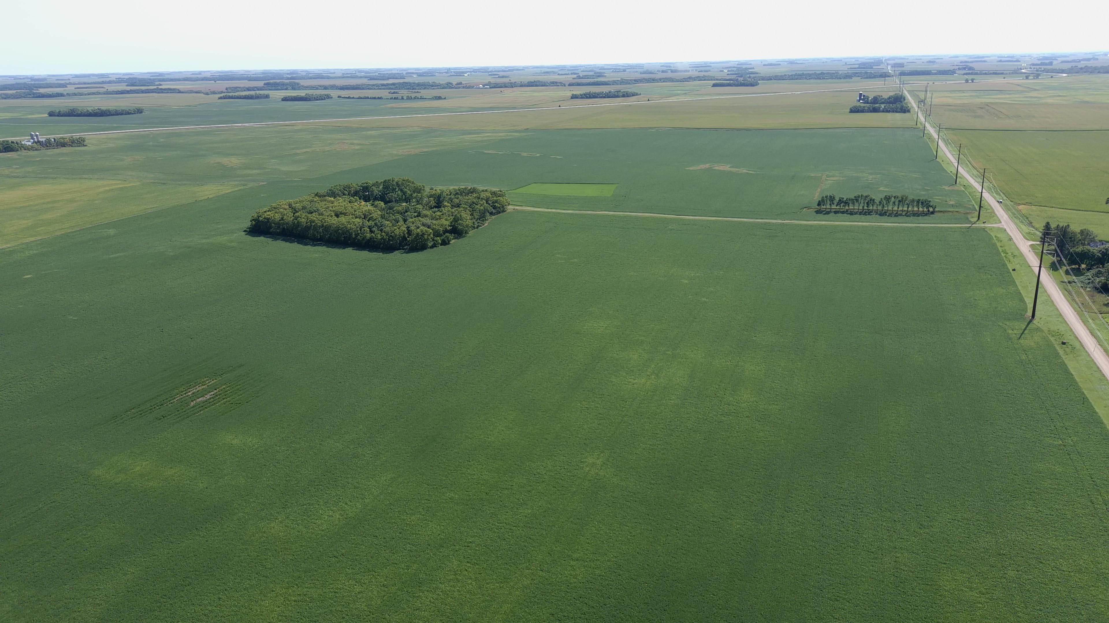 202.3 acres in Yellow Medicine County, Minnesota