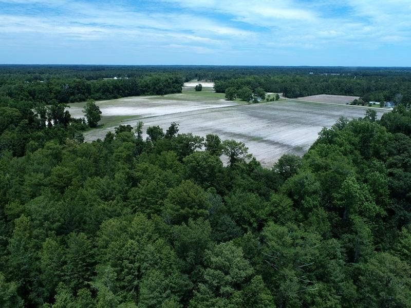 14 acres in Robeson County, North Carolina