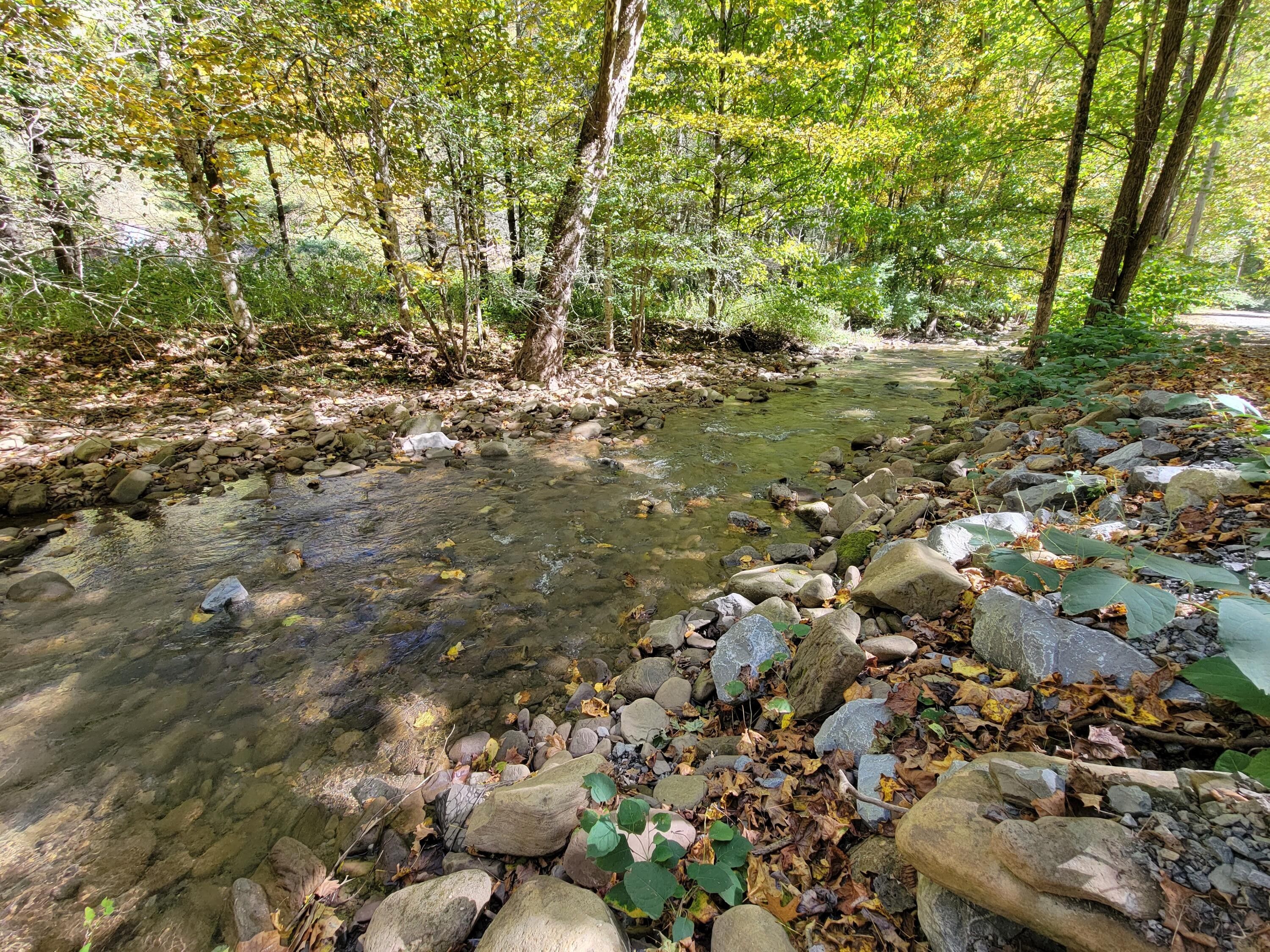 310 acres in Greenbrier County, West Virginia