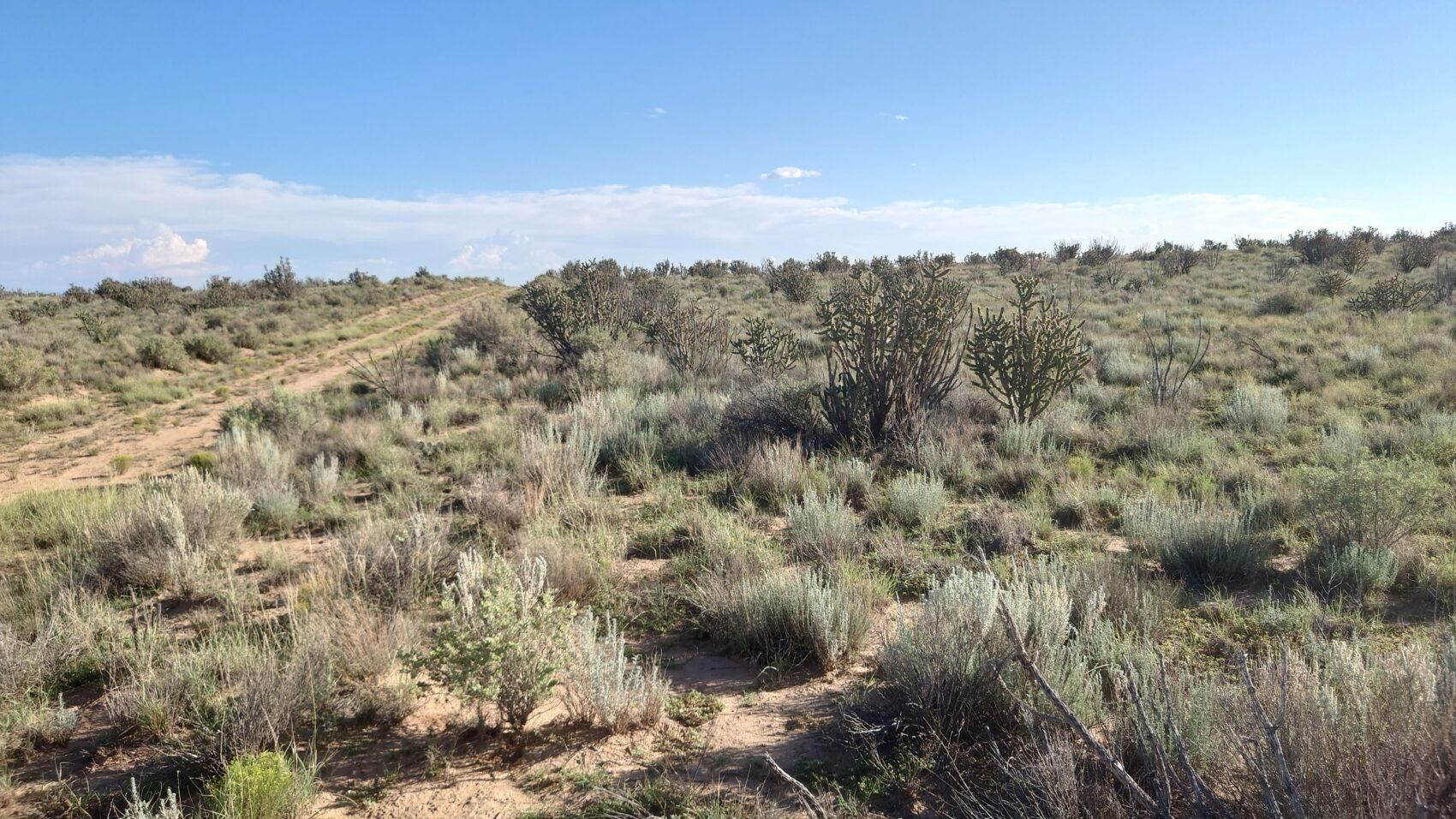 1 acres in Sandoval County, New Mexico