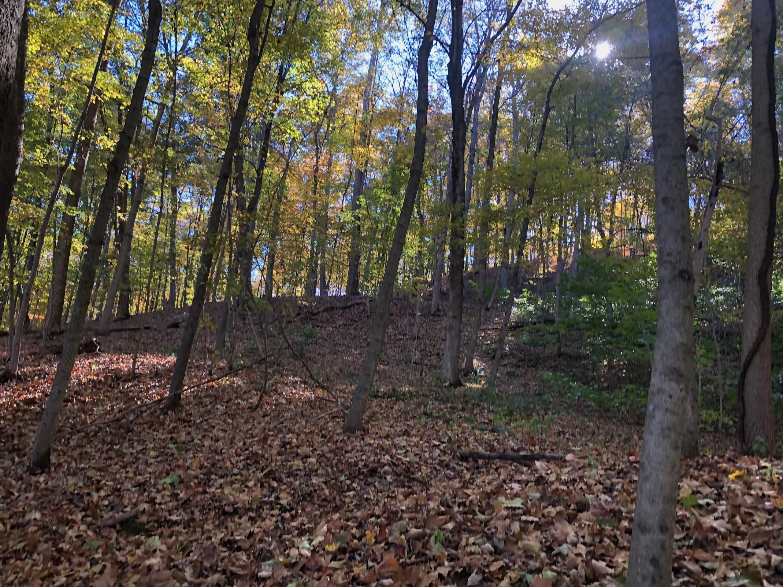 42 acres in Scioto County, Ohio