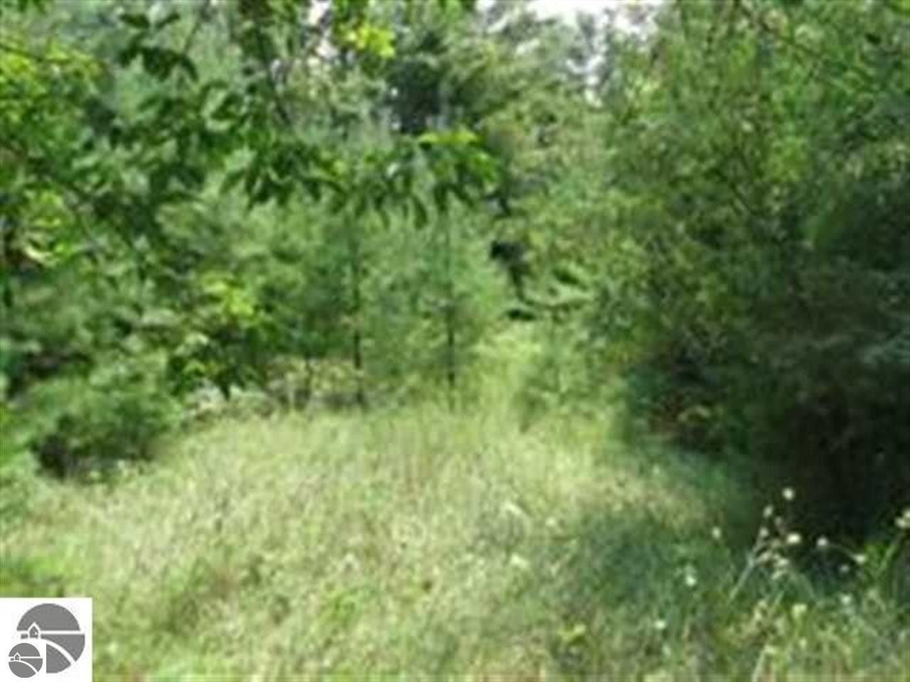 17.4 acres in Iosco County, Michigan