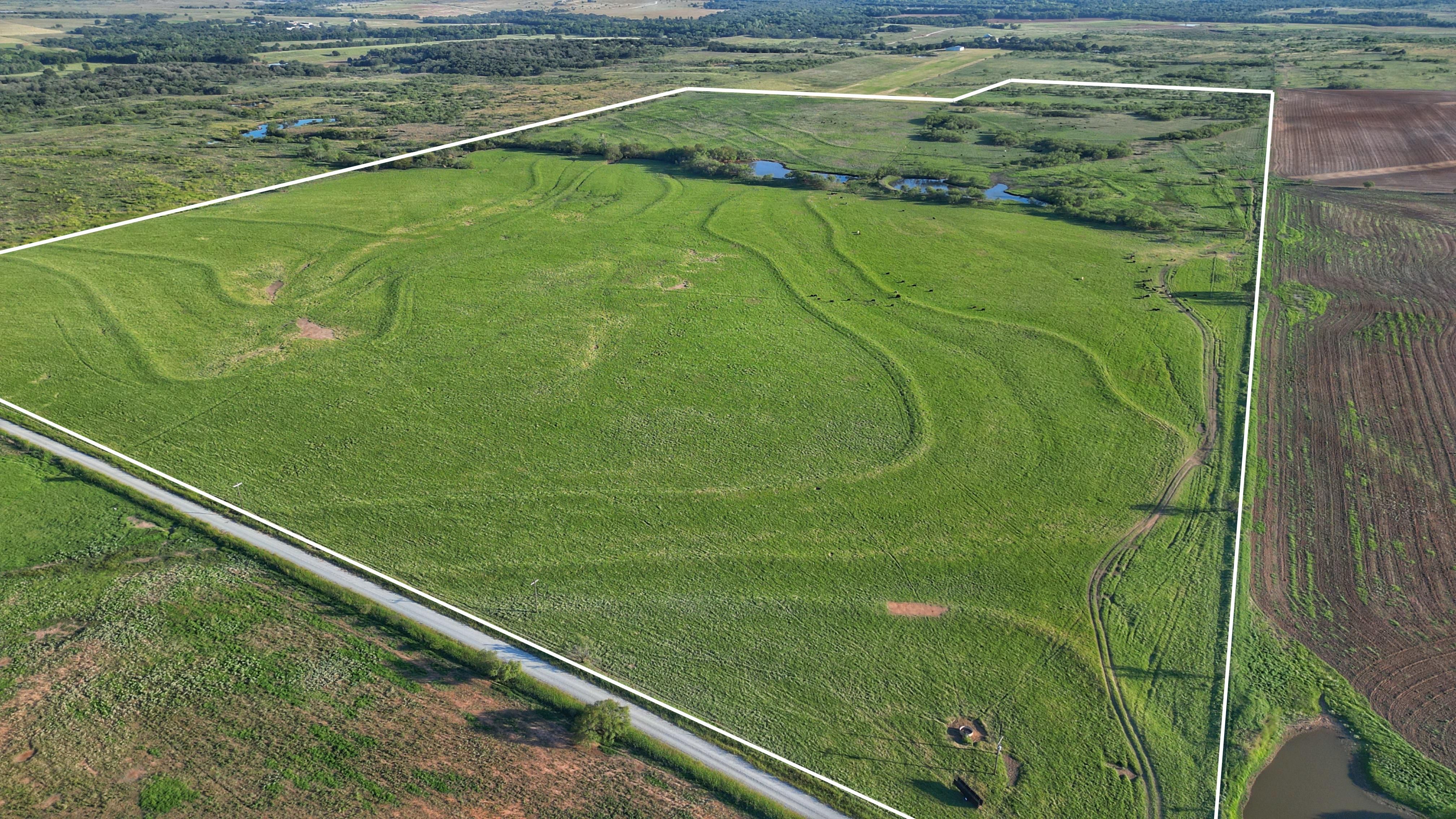 142 acres in Montague County, Texas