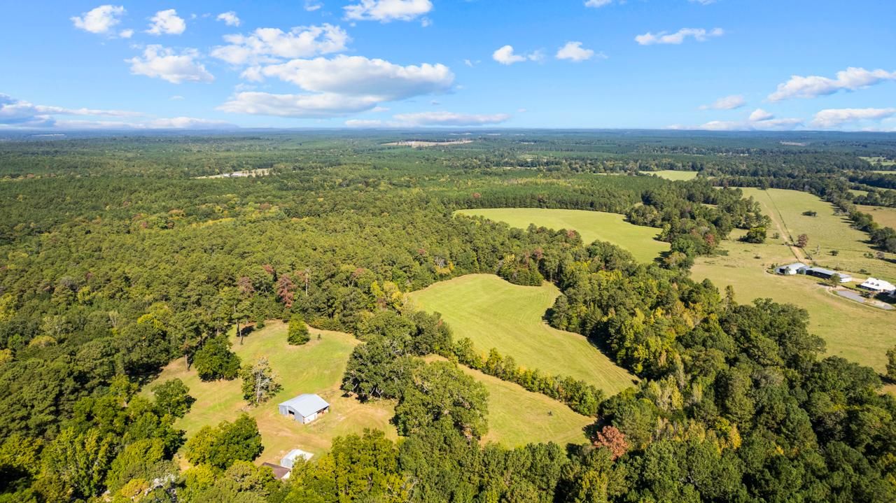 90+/ Acs FM 256 W, Woodville, TX 75979 MLS 90+/ Acs FM 256 W