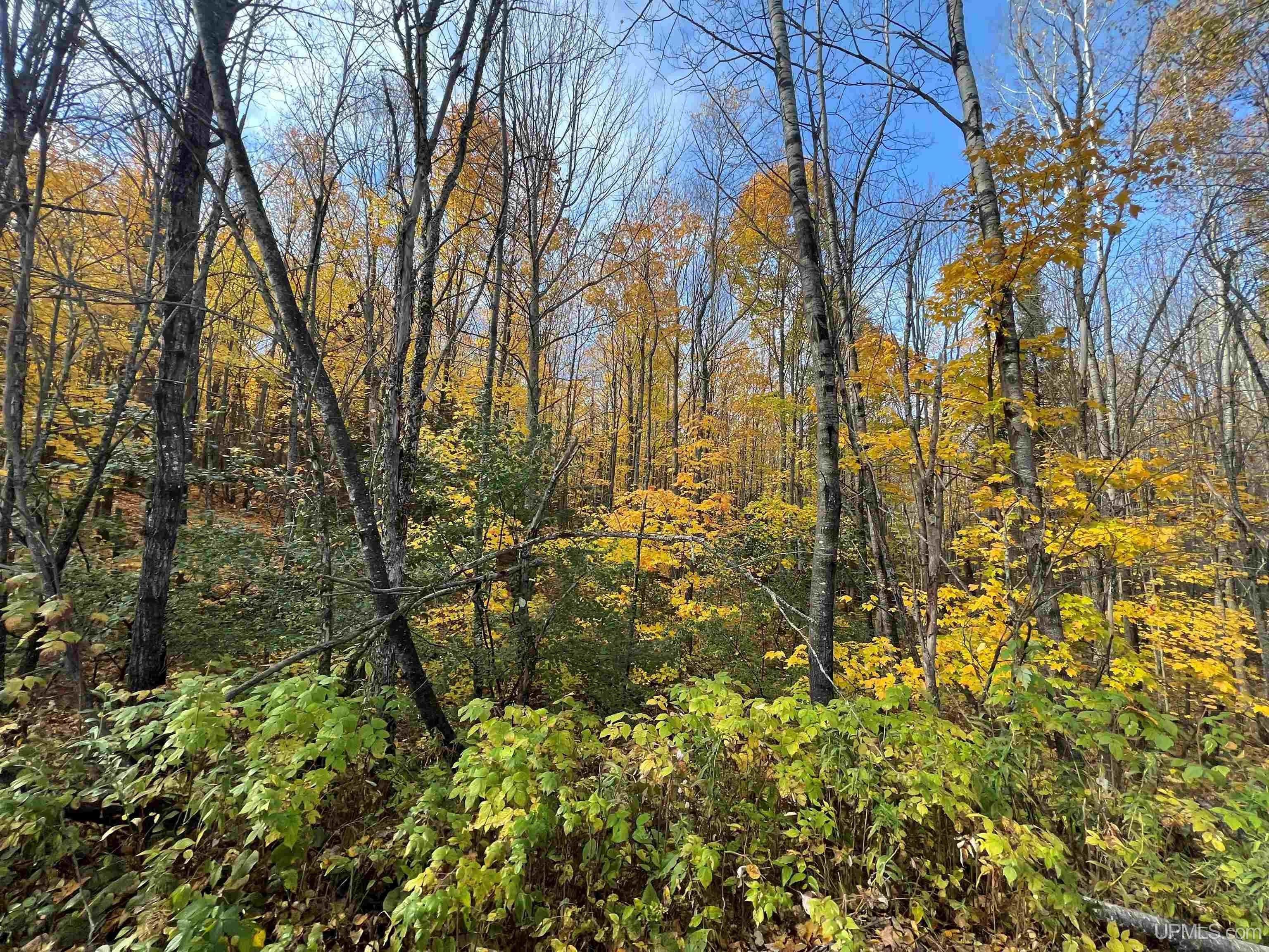 80 acres in Iron County, Michigan