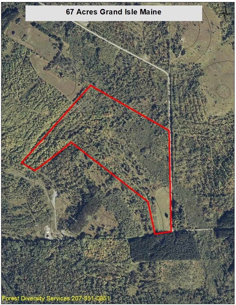 67 acres in Aroostook County, Maine