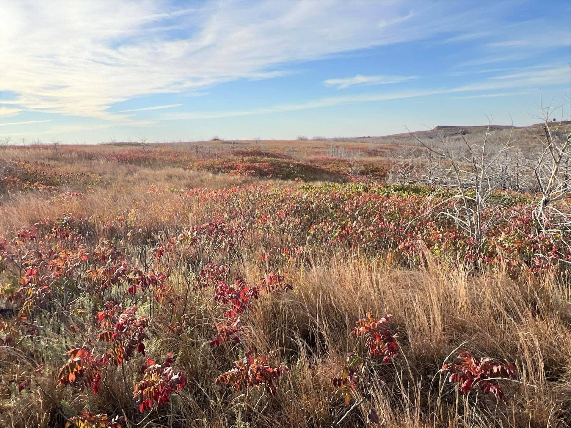 960 acres in Dewey County, Oklahoma