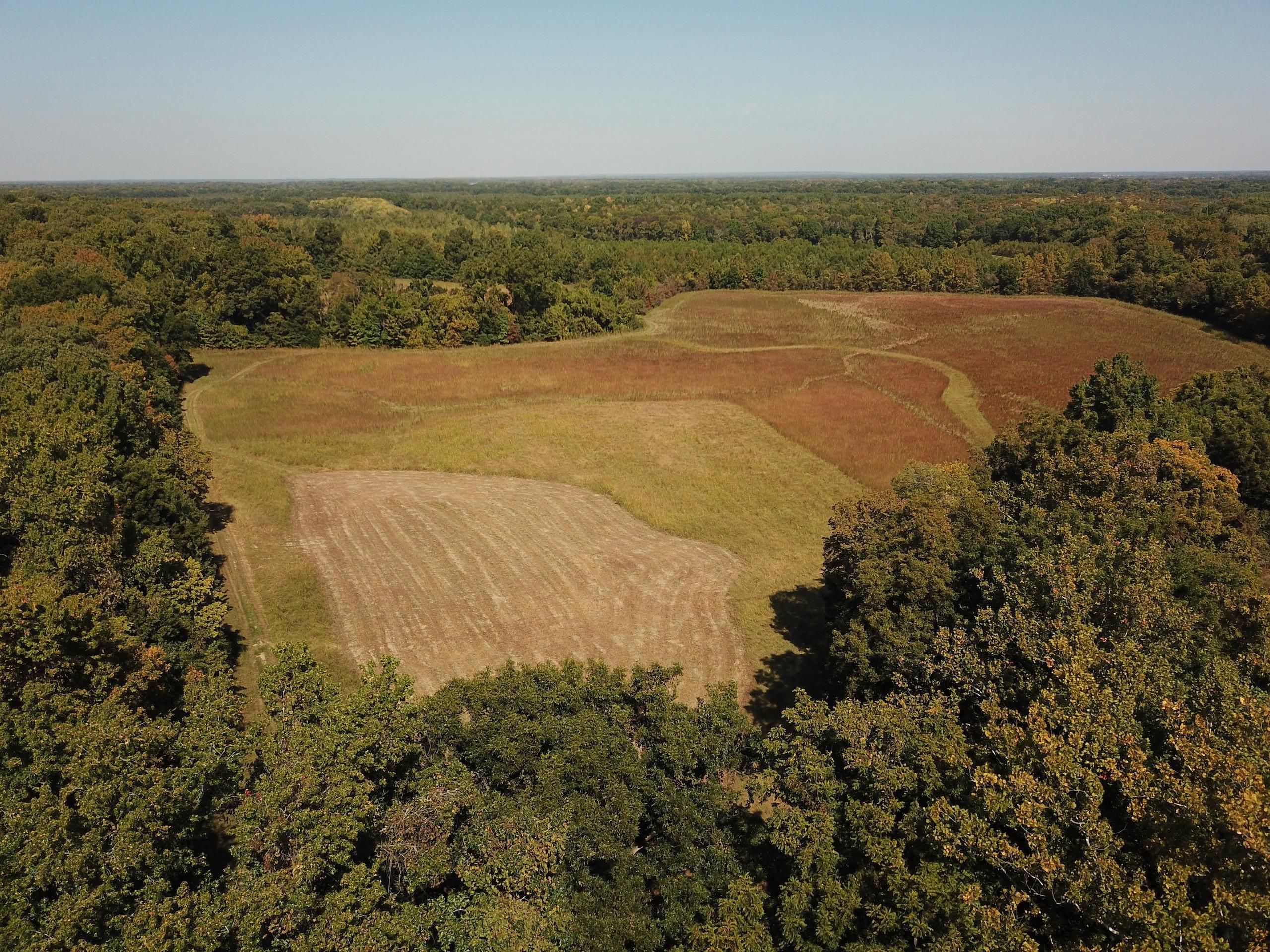 78 acres in Lee County, Arkansas
