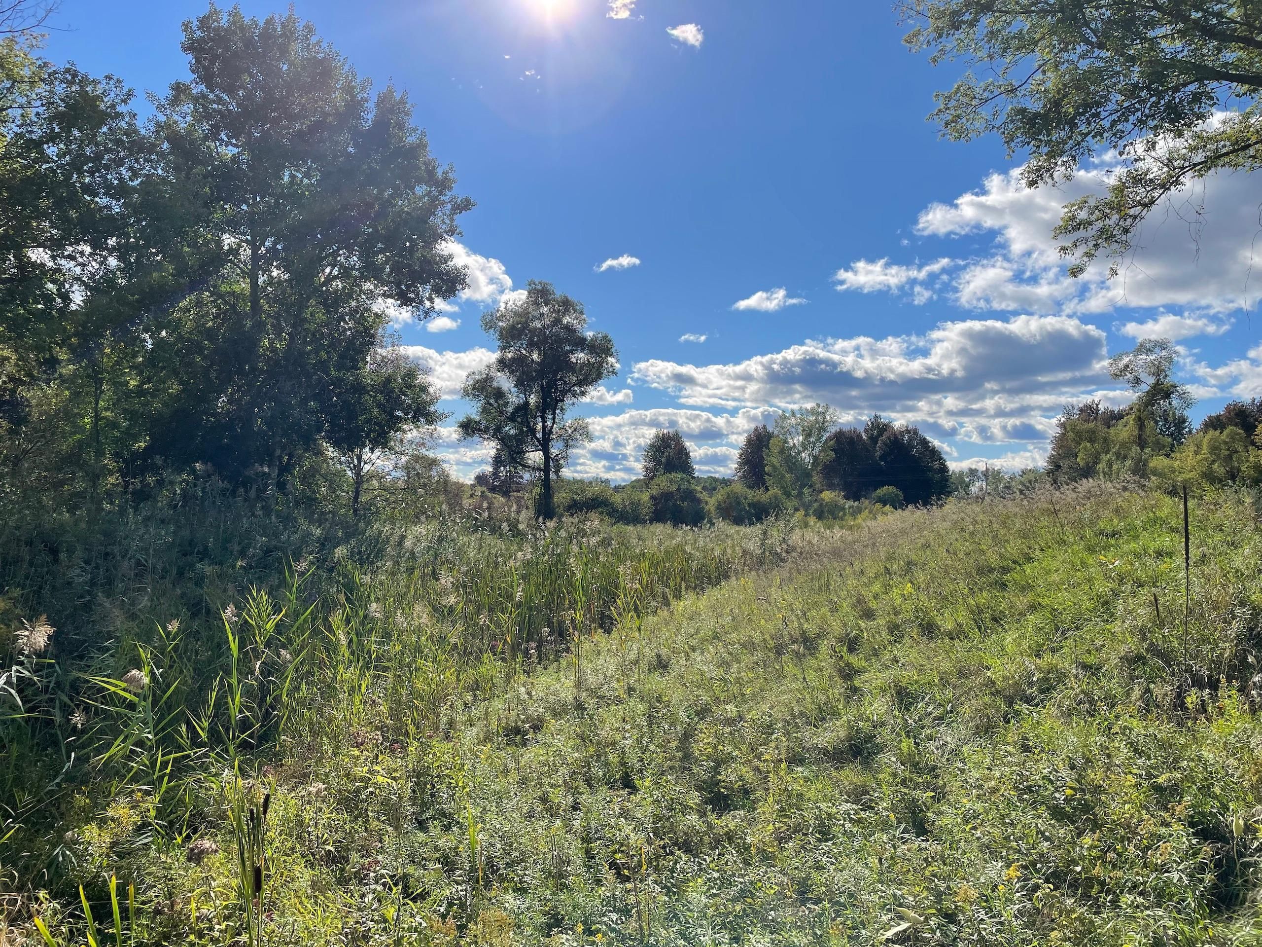 90.05 acres in Tuscola County, Michigan