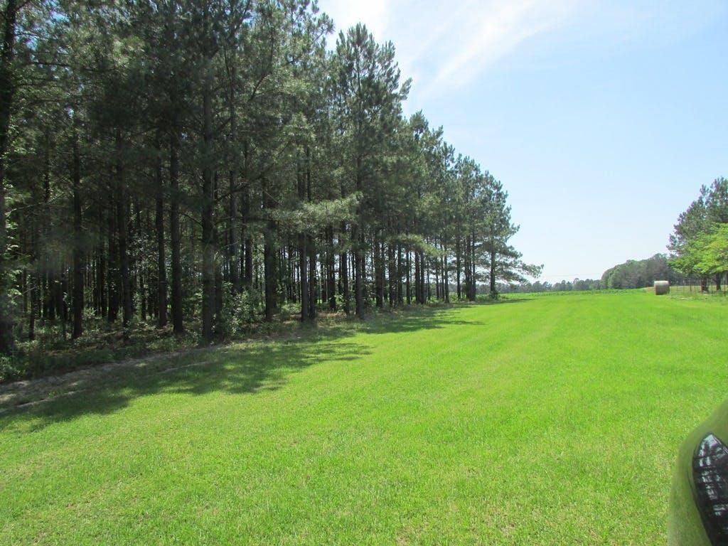 47.8 acres in Clarendon County, South Carolina