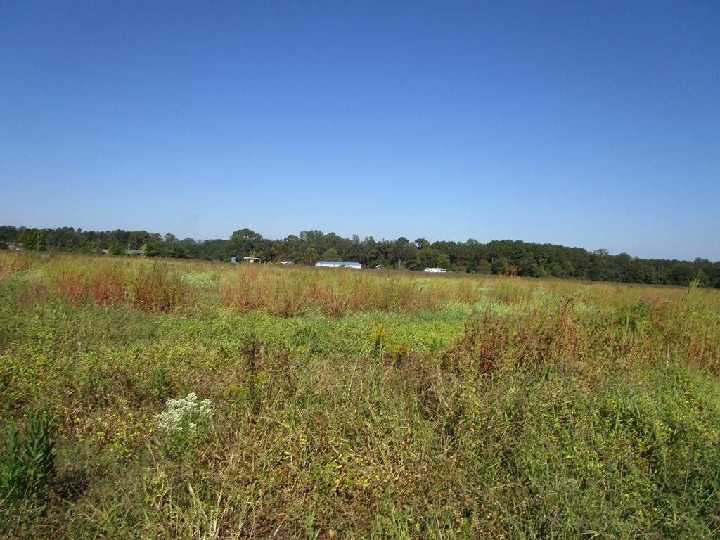45 acres in Grady County,