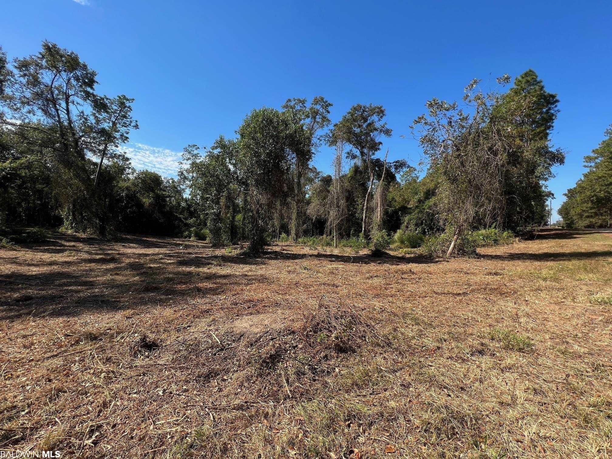 3 acres in Escambia County, Alabama