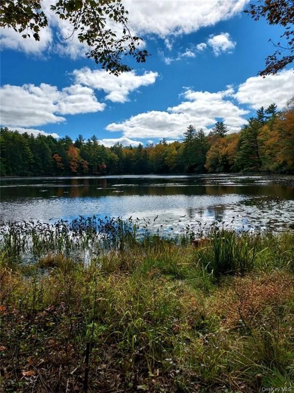 10.91 acres in Sullivan County, New York