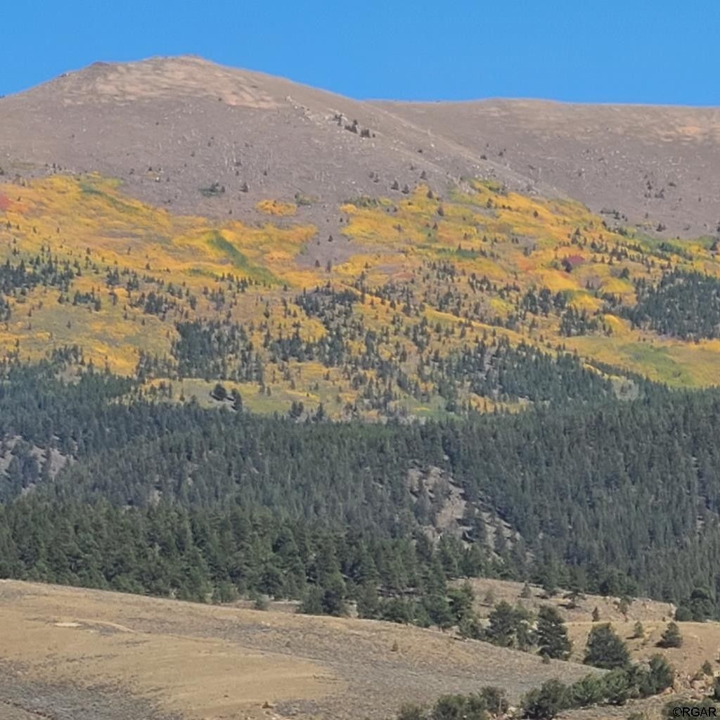 15.16 acres in Lake County, Colorado