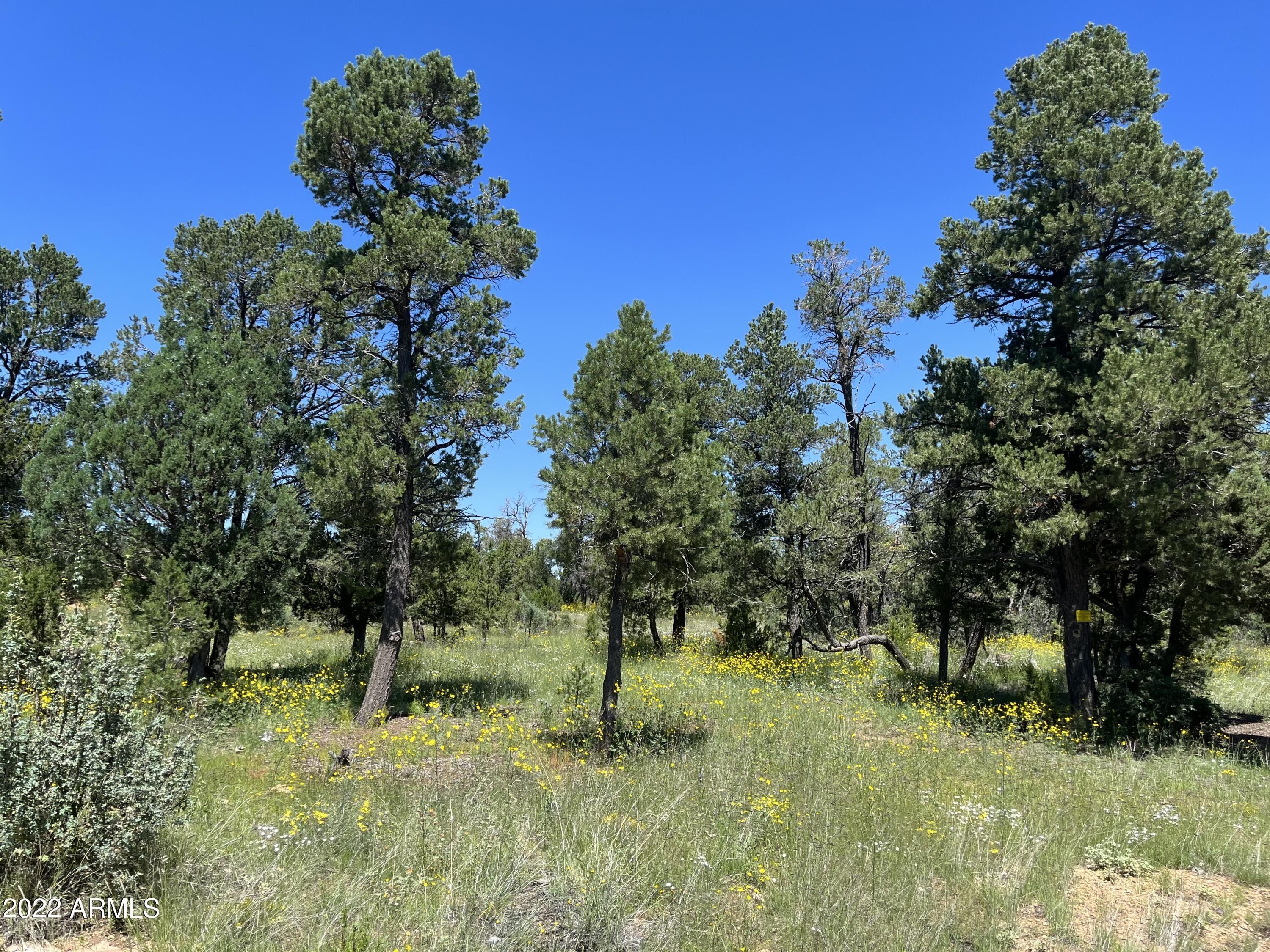 5 acres in Coconino County, Arizona
